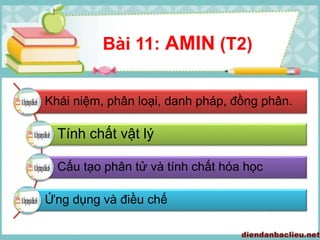 Khái niệm, phân loại, danh pháp, đồng phân.
Tính chất vật lý
Cấu tạo phân tử và tính chất hóa học
Ứng dụng và điều chế
Bài 11: AMIN (T2)
 