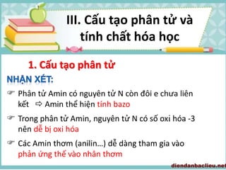  Phân tử Amin có nguyên tử N còn đôi e chưa liên
kết  Amin thể hiện tính bazo
 Trong phân tử Amin, nguyên tử N có số oxi hóa -3
nên dễ bị oxi hóa
 Các Amin thơm (anilin…) dễ dàng tham gia vào
phản ứng thế vào nhân thơm
1. Cấu tạo phân tử
III. Cấu tạo phân tử và
tính chất hóa học
 