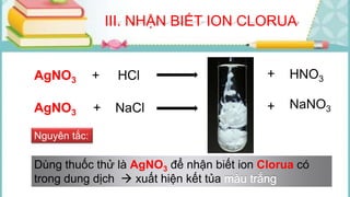 III. NHẬN BIẾT ION CLORUA
AgNO3 + HCl HNO3
AgNO3 + NaCl AgCl↓
Nguyên tắc:
Dùng thuốc thử là AgNO3 để nhận biết ion Clorua có
trong dung dịch  xuất hiện kết tủa
AgCl↓ +
+ NaNO3
 