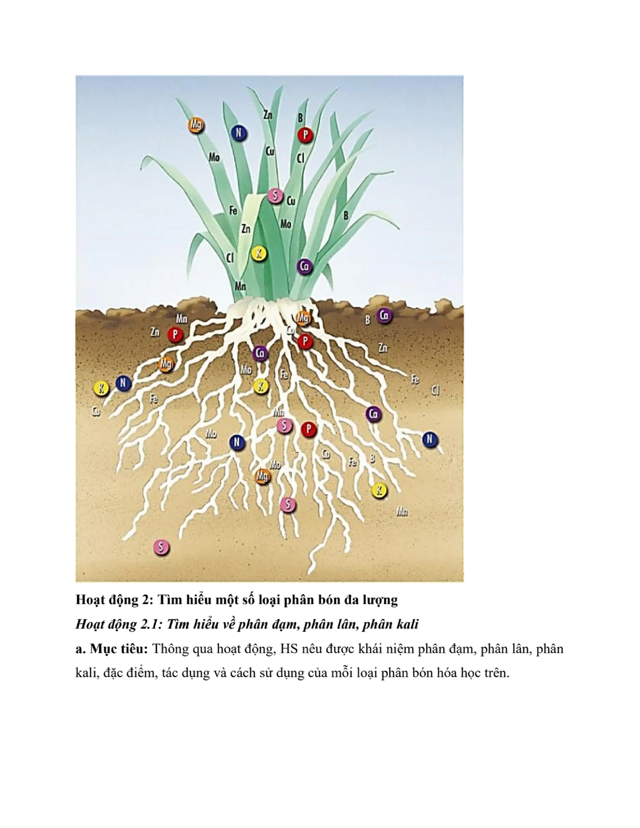GIÁO ÁN KẾ HOẠCH BÀI DẠY KHOA HỌC TỰ NHIÊN 8 CÁNH DIỀU - CẢ NĂM THEO CÔNG VĂN 5512 (2 CỘT) NĂM HỌC 2023-2024 (775 TRANG).pdf