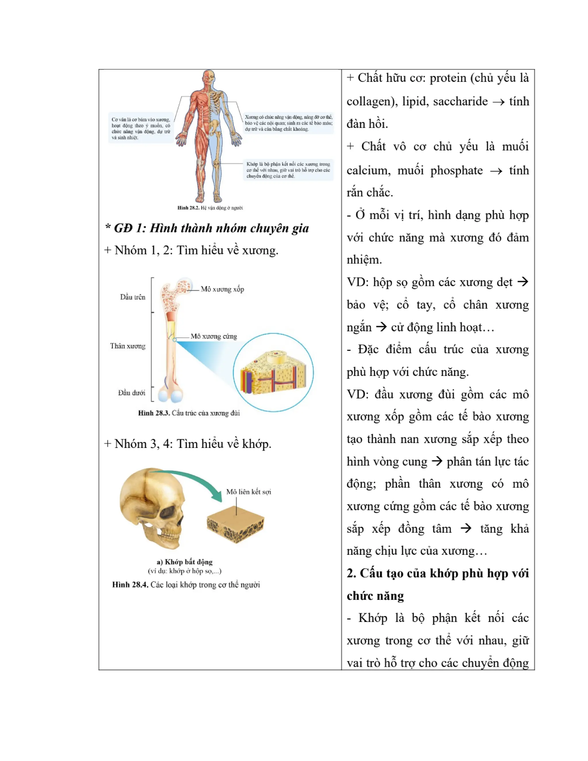GIÁO ÁN KẾ HOẠCH BÀI DẠY KHOA HỌC TỰ NHIÊN 8 CÁNH DIỀU - CẢ NĂM THEO CÔNG VĂN 5512 (2 CỘT) NĂM HỌC 2023-2024 (775 TRANG).pdf