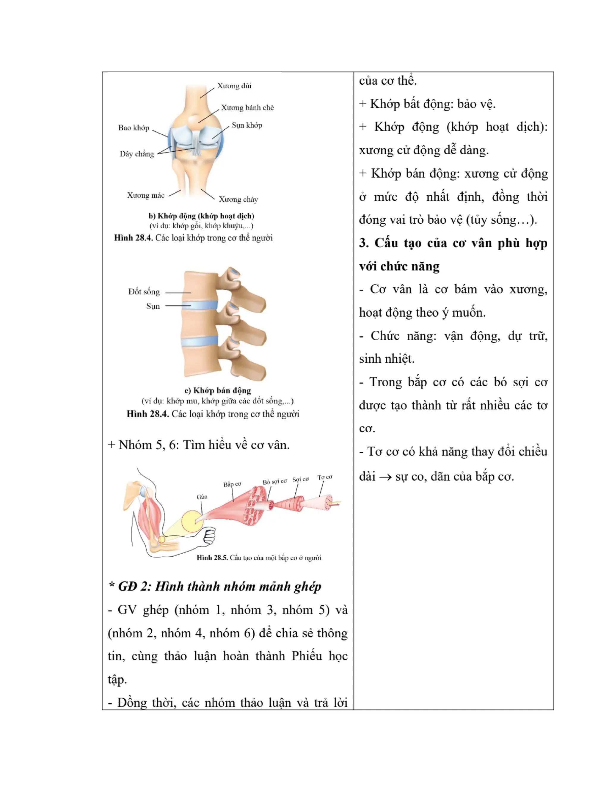 GIÁO ÁN KẾ HOẠCH BÀI DẠY KHOA HỌC TỰ NHIÊN 8 CÁNH DIỀU - CẢ NĂM THEO CÔNG VĂN 5512 (2 CỘT) NĂM HỌC 2023-2024 (775 TRANG).pdf
