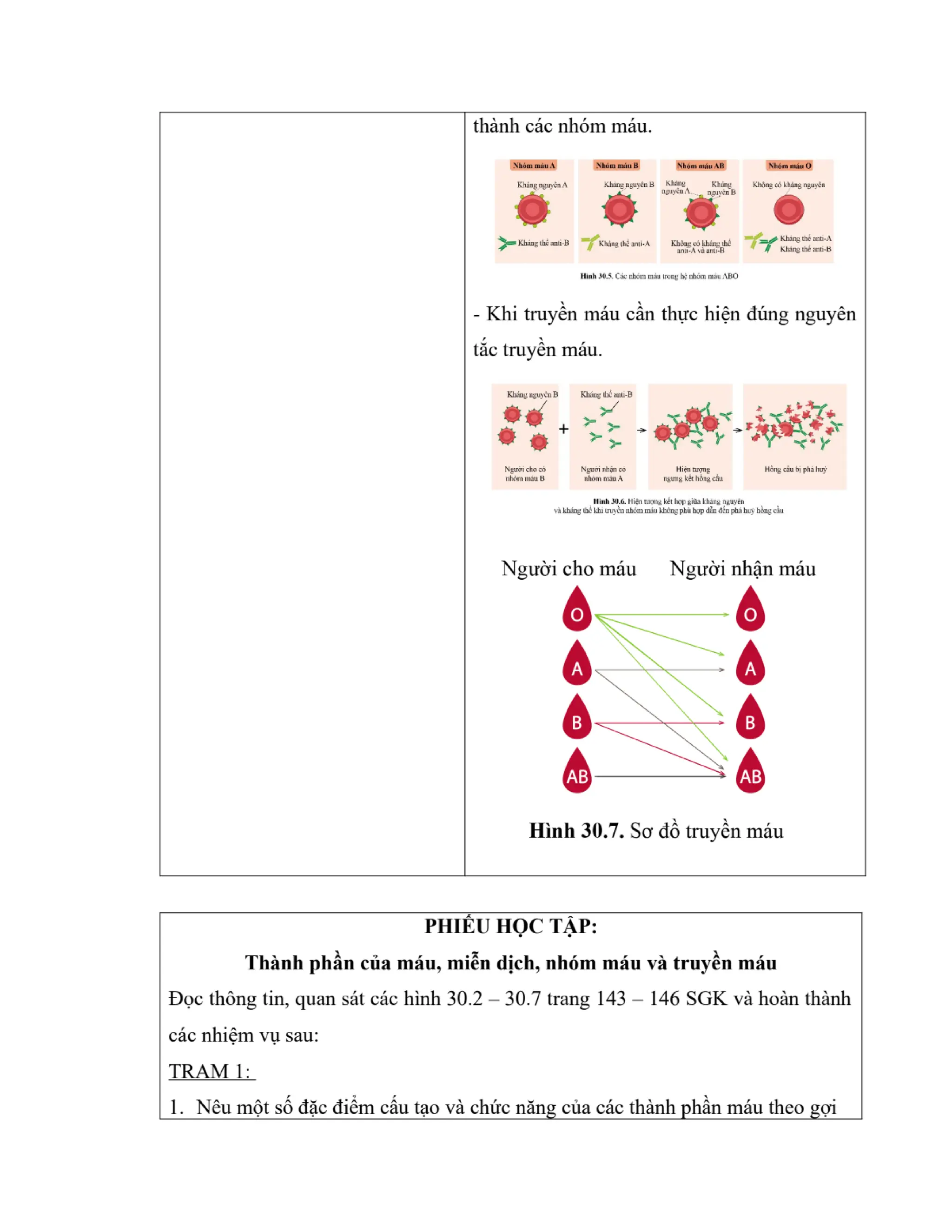GIÁO ÁN KẾ HOẠCH BÀI DẠY KHOA HỌC TỰ NHIÊN 8 CÁNH DIỀU - CẢ NĂM THEO CÔNG VĂN 5512 (2 CỘT) NĂM HỌC 2023-2024 (775 TRANG).pdf