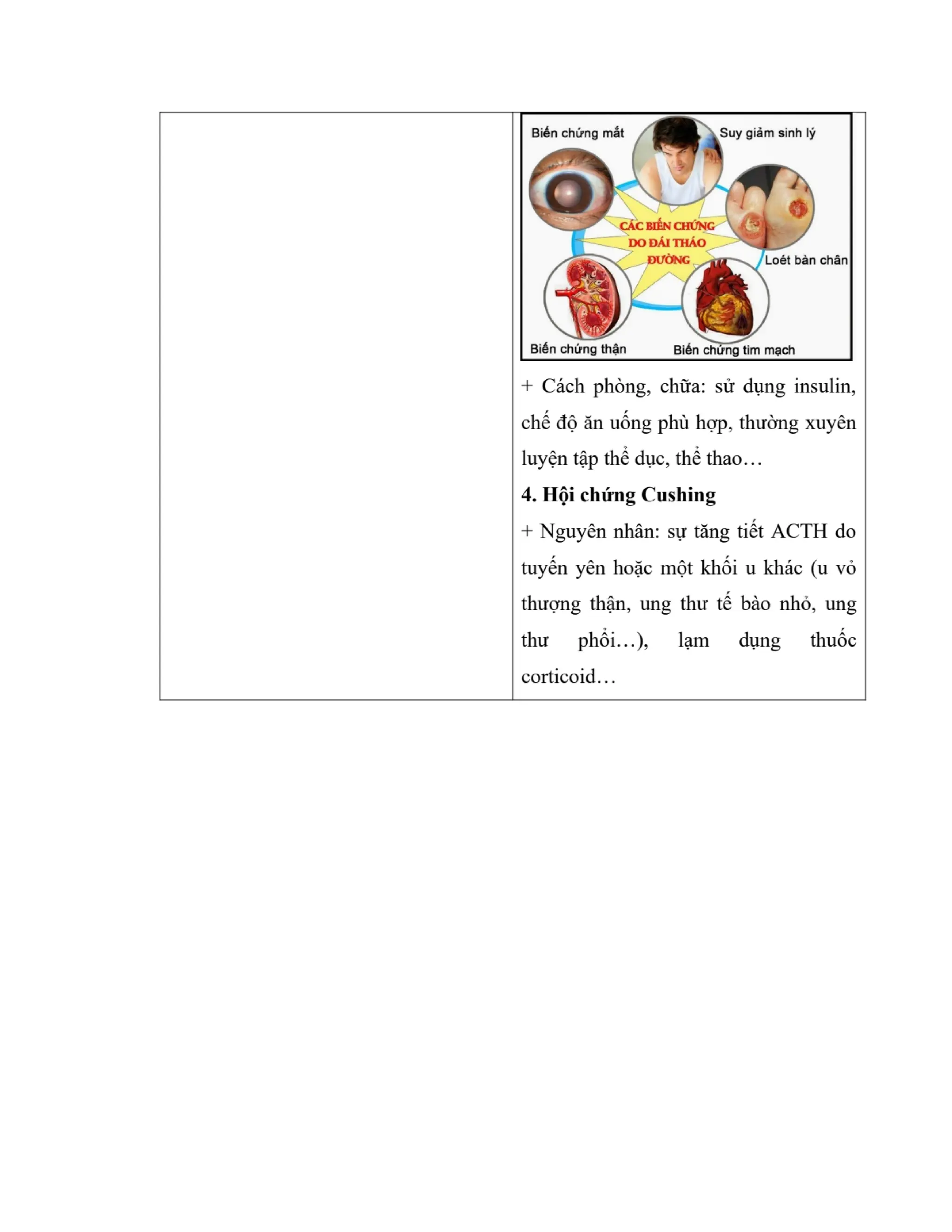 GIÁO ÁN KẾ HOẠCH BÀI DẠY KHOA HỌC TỰ NHIÊN 8 CÁNH DIỀU - CẢ NĂM THEO CÔNG VĂN 5512 (2 CỘT) NĂM HỌC 2023-2024 (775 TRANG).pdf