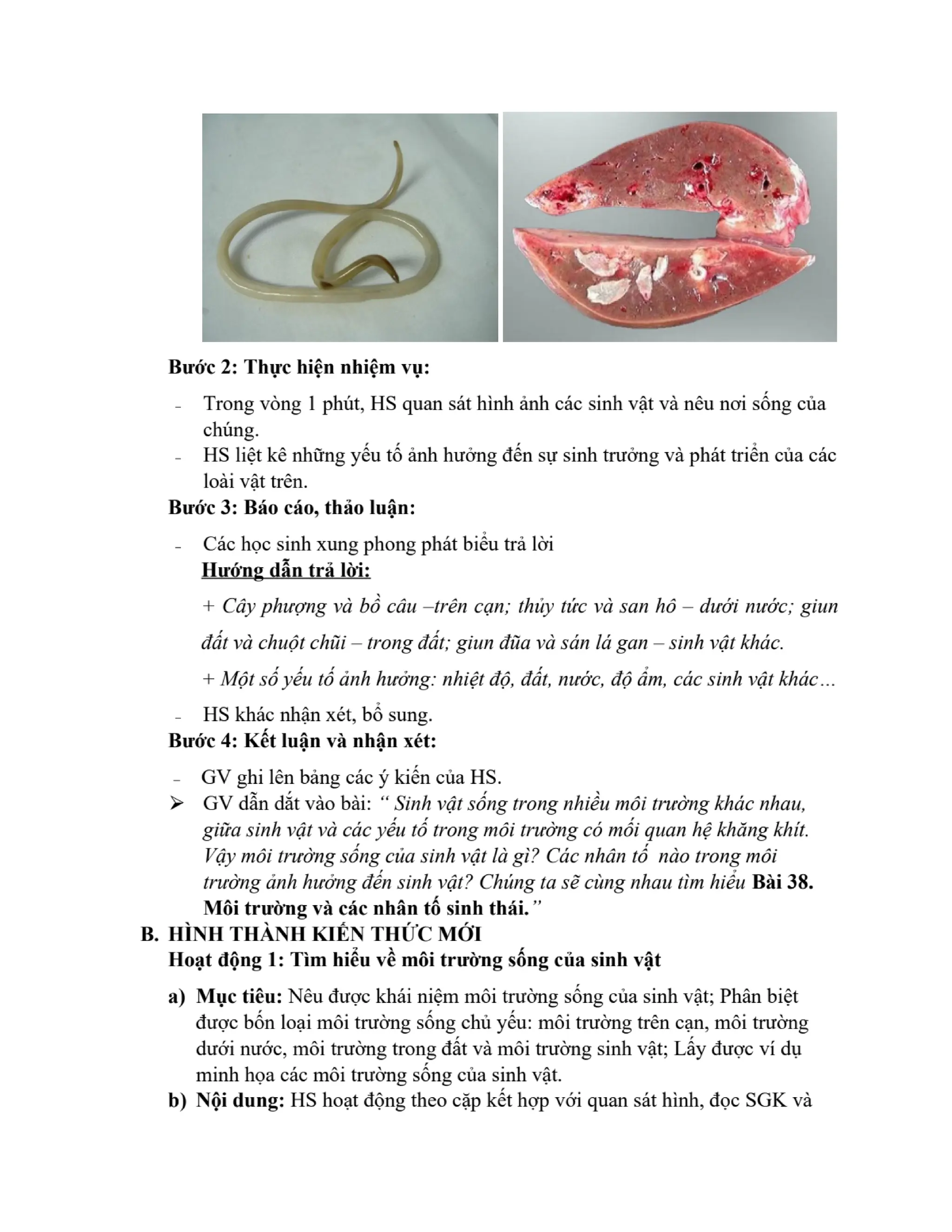 GIÁO ÁN KẾ HOẠCH BÀI DẠY KHOA HỌC TỰ NHIÊN 8 CÁNH DIỀU - CẢ NĂM THEO CÔNG VĂN 5512 (2 CỘT) NĂM HỌC 2023-2024 (775 TRANG).pdf