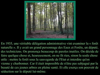 En 1935, une véritable délégation administrative vint examiner la « forêt naturelle ». Il y avait un grand personnage des ...