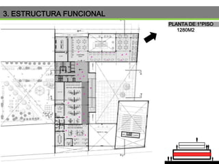 3. ESTRUCTURA FUNCIONAL
PLANTA DE 1°PISO
1280M2

 