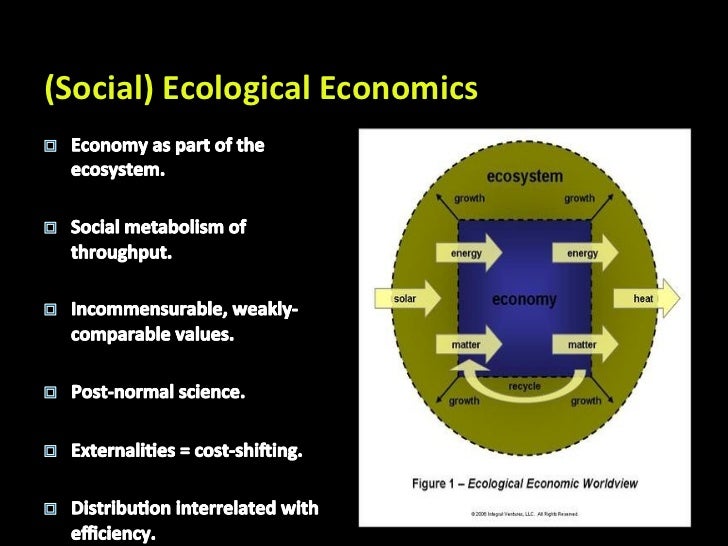 Environmental Conflict Analysis the Ecological Economics Approach