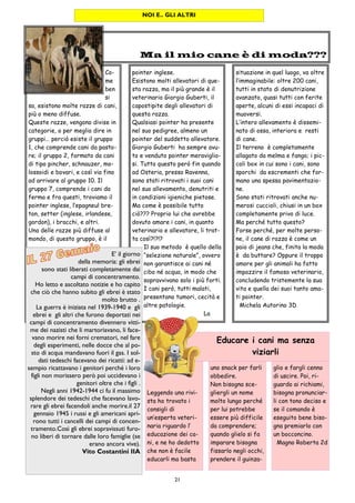 21
Co-
me
ben
si
sa, esistono molte razze di cani,
più o meno diffuse.
Queste razze, vengono divise in
categorie, o per meglio dire in
gruppi… perciò esiste il gruppo
1, che comprende cani da pasto-
re; il gruppo 2, formato da cani
di tipo pincher, schnauzer, mo-
lossoidi e bovari, e così via fino
ad arrivare al gruppo 10. Il
gruppo 7, comprende i cani da
ferma e fra questi, troviamo il
pointer inglese, l’epagneul bre-
ton, setter (inglese, irlandese,
gordon), i bracchi, e altri.
Una delle razze più diffuse al
mondo, di questo gruppo, è il
pointer inglese.
Esistono molti allevatori di que-
sta razza, ma il più grande è il
veterinario Giorgio Guberti, il
capostipite degli allevatori di
questa razza.
Qualsiasi pointer ha presente
nel suo pedigree, almeno un
pointer del suddetto allevatore.
Giorgio Guberti ha sempre avu-
to e venduto pointer meraviglio-
si. Tutto questo però fin quando
ad Osteria, presso Ravenna,
sono stati ritrovati i suoi cani
nel suo allevamento, denutriti e
in condizioni igieniche pietose.
Ma come è possibile tutto
ciò??? Proprio lui che avrebbe
dovuto amare i cani, in quanto
veterinario e allevatore, li trat-
ta così?!?!?
Il suo metodo è quello della
“selezione naturale”, ovvero
non garantisce ai cani né
cibo né acqua, in modo che
sopravvivano solo i più forti.
I cani però, tutti malati,
presentano tumori, cecità e
altre patologie.
La
situazione in quel luogo, va oltre
l’immaginabile: oltre 200 cani,
tutti in stato di denutrizione
avanzato, quasi tutti con ferite
aperte, alcuni di essi incapaci di
muoversi.
L’intero allevamento è dissemi-
nato di ossa, interiora e resti
di cane.
Il terreno è completamente
allagato da melma e fango; i pic-
coli box in cui sono i cani, sono
sporchi da escrementi che for-
mano una spessa pavimentazio-
ne.
Sono stati ritrovati anche nu-
merosi cuccioli, chiusi in un box
completamente privo di luce.
Ma perché tutto questo?
Forse perché, per molte perso-
ne, il cane di razza è come un
paio di jeans che, finita la moda
è da buttare? Oppure il troppo
amore per gli animali ha fatto
impazzire il famoso veterinario,
concludendo tristemente la sua
vita e quella dei suoi tanto ama-
ti pointer.
Michela Autorino 3D
Ma il mio cane è di moda???
NOI E.. GLI ALTRI
E’ il giorno
della memoria: gli ebrei
sono stati liberati completamente dai
campi di concentramento.
Ho letto e ascoltato notizie e ho capito
che ciò che hanno subito gli ebrei è stato
molto brutto .
La guerra è iniziata nel 1939-1940 e gli
ebrei e gli altri che furono deportati nei
campi di concentramento divennero vitti-
me dei nazisti che li martoriavano, li face-
vano morire nei forni crematori, nel fare
degli esperimenti, nelle docce che al po-
sto di acqua mandavano fuori il gas. I sol-
dati tedeschi facevano dei ricatti: ad e-
sempio ricattavano i genitori perché i loro
figli non morissero però poi uccidevano i
genitori oltre che i figli .
Negli anni 1942-1944 ci fu il massimo
splendore dei tedeschi che facevano lavo-
rare gli ebrei facendoli anche morire.il 27
gennaio 1945 i russi e gli americani apri-
rono tutti i cancelli dei campi di concen-
tramento.Così gli ebrei sopravissuti furo-
no liberi di tornare dalle loro famiglie (se
erano ancora vive).
Vito Costantini IIA
uno snack per farli
obbedire.
Non bisogna sce-
gliergli un nome
molto lungo perché
per lui potrebbe
essere più difficile
da comprendere;
quando glielo si fa
imparare bisogna
fissarlo negli occhi,
prendere il guinza-
Leggendo una rivi-
sta ho trovato i
consigli di
un’esperta veteri-
naria riguardo l’
educazione dei ca-
ni, e ne ho dedotto
che non è facile
educarli ma basta
glio e fargli cenno
di uscire. Poi, ri-
guardo ai richiami,
bisogna pronunciar-
li con tono deciso e
se il comando è
eseguito bene biso-
gna premiarlo con
un bocconcino.
Magno Roberta 2d
Educare i cani ma senza
viziarli
 