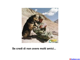 Se credi di non avere molti amici...   
