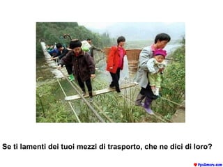 Se ti lamenti dei tuoi mezzi di trasporto, che ne dici di loro? 