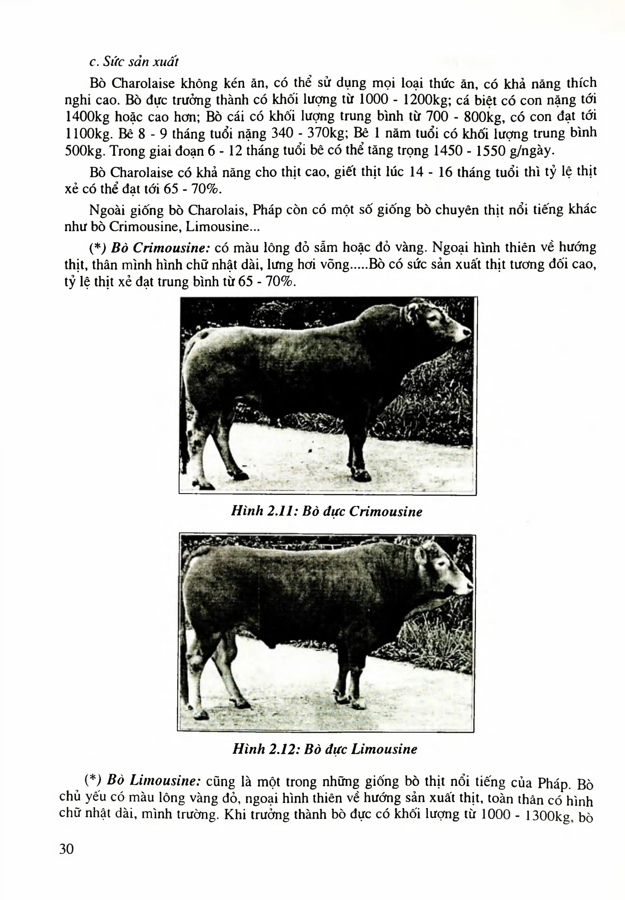 Giáo trình chăn nuôi trâu bò - Nguyễn Văn Bình;Trần Văn Tường.pdf