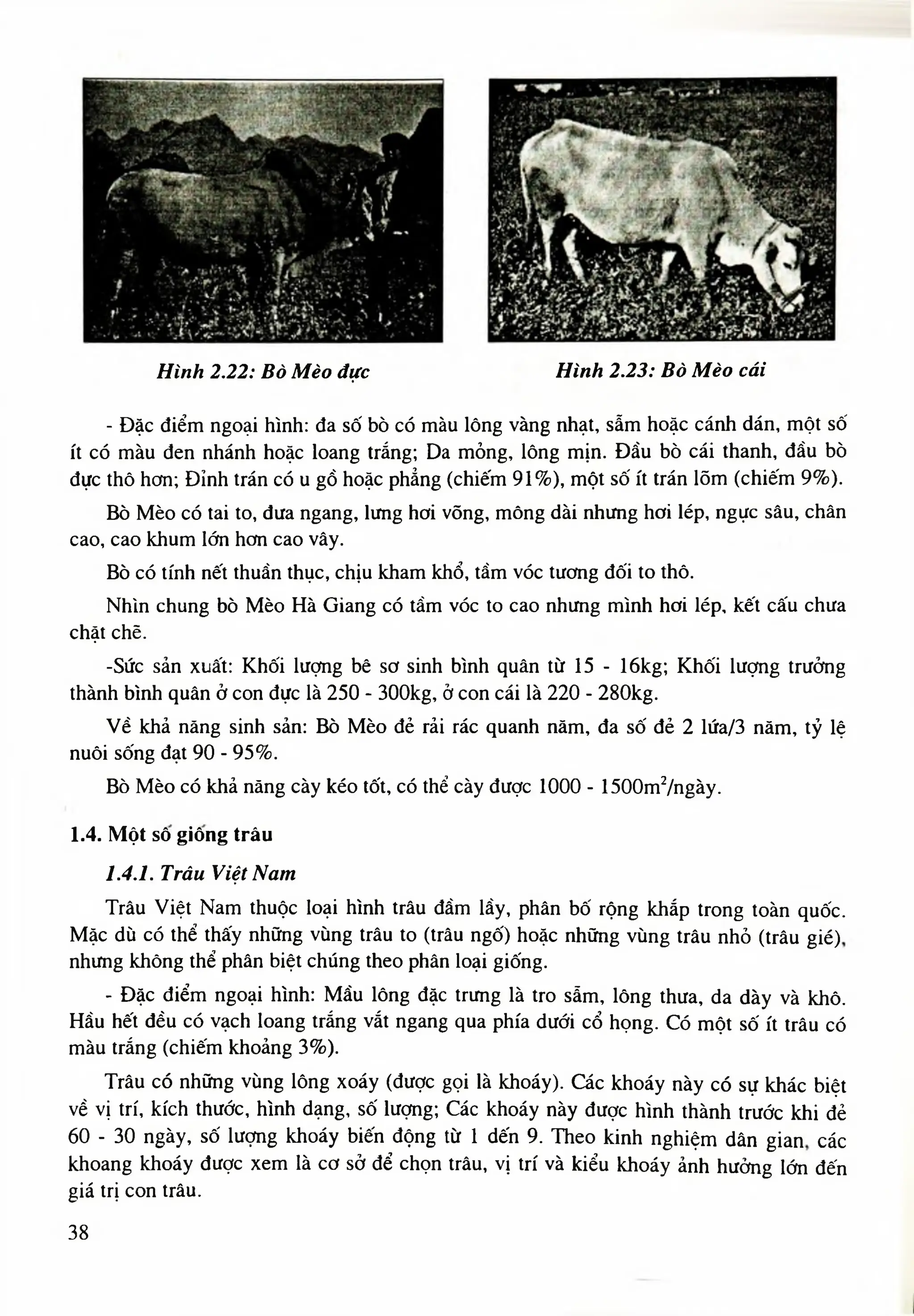 Giáo trình chăn nuôi trâu bò - Nguyễn Văn Bình;Trần Văn Tường.pdf