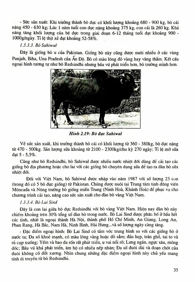 Giáo trình chăn nuôi trâu bò - Nguyễn Văn Bình;Trần Văn Tường.pdf