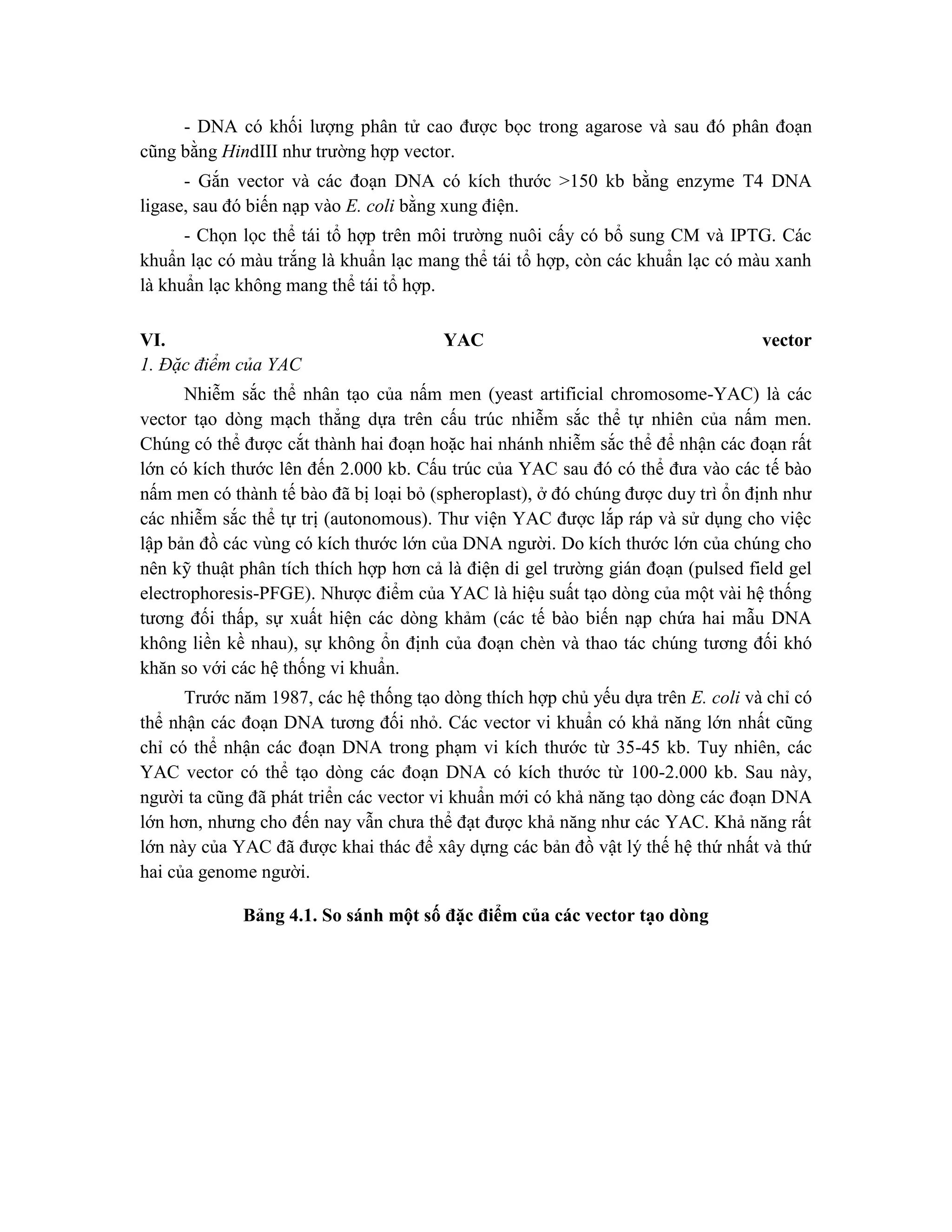 - DNA có khối lượng phân tử cao được bọc trong agarose và sau đó phân đoạn
cũng bằng HindIII như trường hợp vector.
- Gắn vector và các đoạn DNA có kích thước >150 kb bằng enzyme T4 DNA
ligase, sau đó biến nạp vào E. coli bằng xung điện.
- Chọn lọc thể tái tổ hợp trên môi trường nuôi cấy có bổ sung CM và IPTG. Các
khuẩn lạc có màu trắng là khuẩn lạc mang thể tái tổ hợp, còn các khuẩn lạc có màu xanh
là khuẩn lạc không mang thể tái tổ hợp.
VI. YAC vector
1. Đặc điểm của YAC
Nhiễm sắc thể nhân tạo của nấm men (yeast artificial chromosome-YAC) là các
vector tạo dòng mạch thẳng dựa trên cấu trúc nhiễm sắc thể tự nhiên của nấm men.
Chúng có thể được cắt thành hai đoạn hoặc hai nhánh nhiễm sắc thể để nhận các đoạn rất
lớn có kích thước lên đến 2.000 kb. Cấu trúc của YAC sau đó có thể đưa vào các tế bào
nấm men có thành tế bào đã bị loại bỏ (spheroplast), ở đó chúng được duy trì ổn định như
các nhiễm sắc thể tự trị (autonomous). Thư viện YAC được lắp ráp và sử dụng cho việc
lập bản đồ các vùng có kích thước lớn của DNA người. Do kích thước lớn của chúng cho
nên kỹ thuật phân tích thích hợp hơn cả là điện di gel trường gián đoạn (pulsed field gel
electrophoresis-PFGE). Nhược điểm của YAC là hiệu suất tạo dòng của một vài hệ thống
tương đối thấp, sự xuất hiện các dòng khảm (các tế bào biến nạp chứa hai mẫu DNA
không liền kề nhau), sự không ổn định của đoạn chèn và thao tác chúng tương đối khó
khăn so với các hệ thống vi khuẩn.
Trước năm 1987, các hệ thống tạo dòng thích hợp chủ yếu dựa trên E. coli và chỉ có
thể nhận các đoạn DNA tương đối nhỏ. Các vector vi khuẩn có khả năng lớn nhất cũng
chỉ có thể nhận các đoạn DNA trong phạm vi kích thước từ 35-45 kb. Tuy nhiên, các
YAC vector có thể tạo dòng các đoạn DNA có kích thước từ 100-2.000 kb. Sau này,
người ta cũng đã phát triển các vector vi khuẩn mới có khả năng tạo dòng các đoạn DNA
lớn hơn, nhưng cho đến nay vẫn chưa thể đạt được khả năng như các YAC. Khả năng rất
lớn này của YAC đã được khai thác để xây dựng các bản đồ vật lý thế hệ thứ nhất và thứ
hai của genome người.
Bảng 4.1. So sánh một số đặc điểm của các vector tạo dòng
 