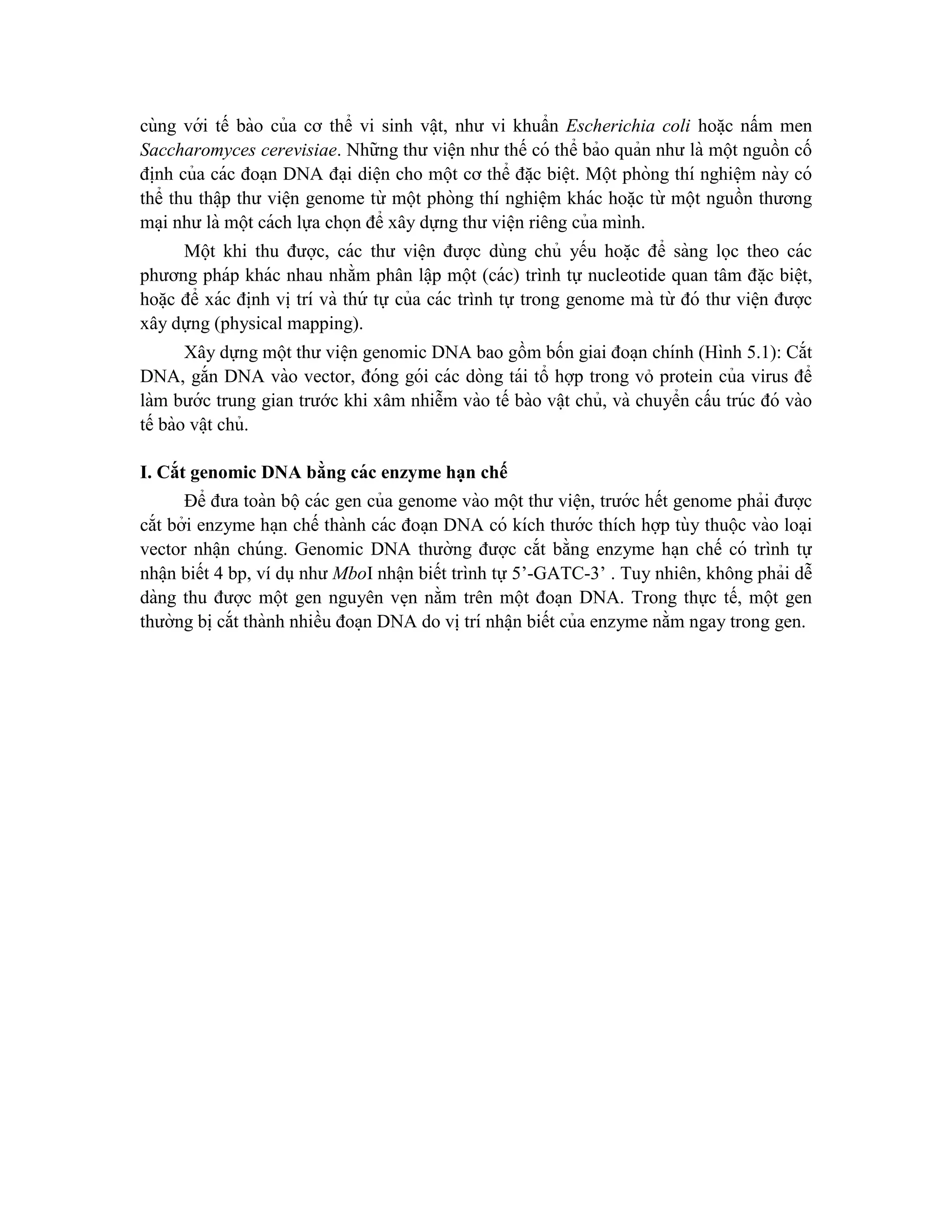 cùng với tế bào của cơ thể vi sinh vâ ̣t, như vi khuẩn Escherichia coli hoă ̣c nấm men
Saccharomyces cerevisiae. Những thư viê ̣n như thế có thể bảo quản như là một nguồn cố
đi ̣
nh của các đoạn DNA đa ̣i diê ̣n cho một cơ thể đă ̣c biê ̣t. Một phòng thí nghiê ̣m này có
thể thu thâ ̣p thư viê ̣n genome từ một phòng thí nghiê ̣m khác hoă ̣c từ một nguồn thương
ma ̣i như là một cách lựa chọn để xây dựng thư viê ̣n riêng của mình.
Một khi thu được, các thư viê ̣n được dùng chủ yếu hoă ̣c để sàng lọc theo các
phương pháp khác nhau nhằm phân lâ ̣p một (các) trình tự nucleotide quan tâm đă ̣c biê ̣t,
hoă ̣c để xác đi ̣
nh vi ̣trí và thứ tự của các trình tự trong genome mà từ đó thư viê ̣n được
xây dựng (physical mapping).
Xây dựng một thư viê ̣n genomic DNA bao gồm bốn giai đoa ̣n chính (Hình 5.1): Cắt
DNA, gắn DNA vào vector, đóng gói các dòng tái tổ hợp trong vỏ protein của virus để
làm bước trung gian trước khi xâm nhiễm vào tế bào vâ ̣t chủ, và chuyển cấu trúc đó vào
tế bào vâ ̣t chủ.
I. Cắt genomic DNA bằng các enzyme hạn chế
Để đưa toàn bộcác gen của genome vào một thư viê ̣n, trước hết genome phải được
cắt bởi enzyme ha ̣n chế thành các đoa ̣n DNA có kích thước thích hợp tùy thuộc vào loa ̣i
vector nhâ ̣n chúng. Genomic DNA thường được cắt bằng enzyme ha ̣n chế có trình tự
nhâ ̣n biết 4 bp, ví dụ như MboI nhâ ̣n biết trình tự 5’-GATC-3’ . Tuy nhiên, không phải dễ
dàng thu được một gen nguyên ve ̣n nằm trên một đoa ̣n DNA. Trong thực tế, một gen
thường bi ̣cắt thành nhiều đoa ̣n DNA do vi ̣trí nhâ ̣n biết của enzyme nằm ngay trong gen.
 