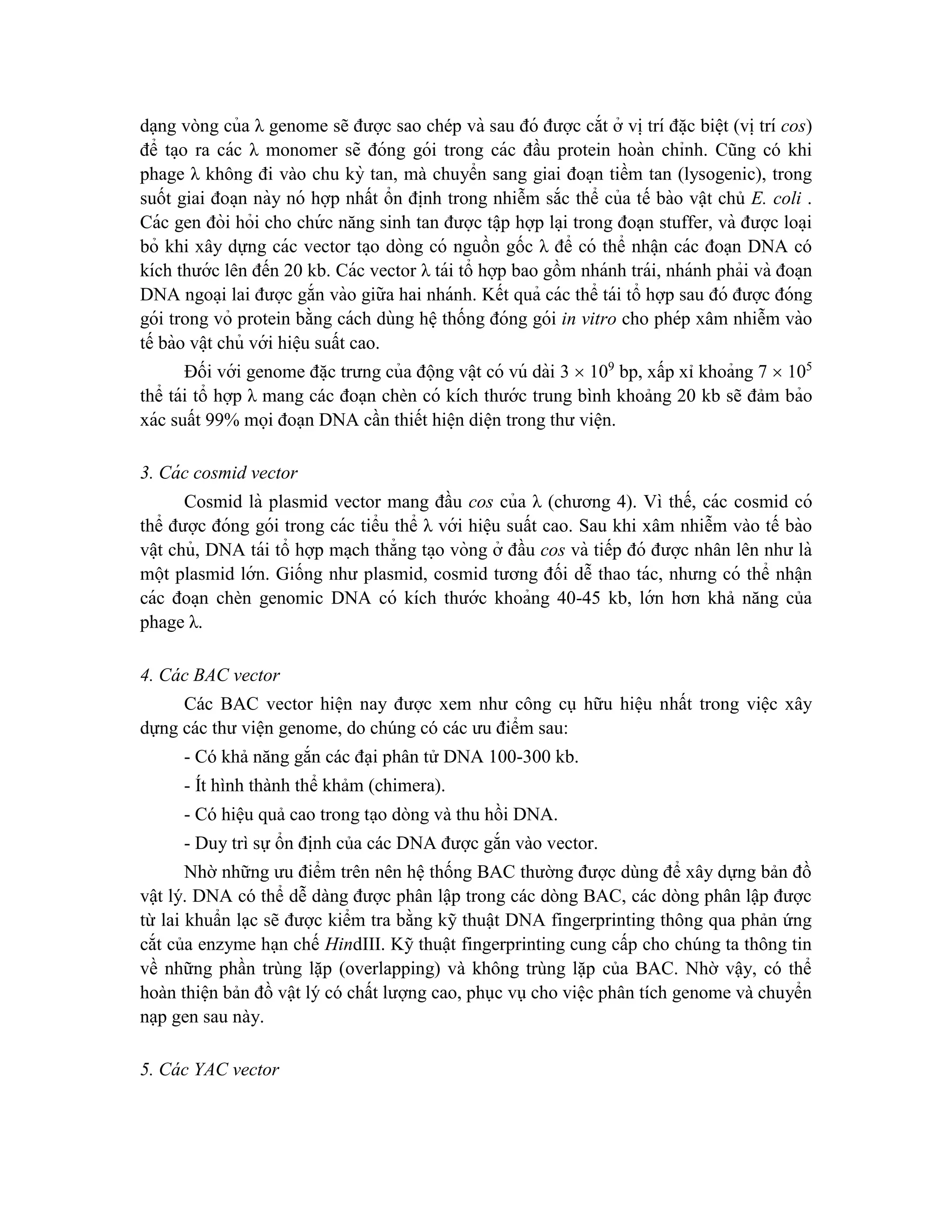 dạng vòng của λ genome sẽ được sao chép và sau đó được cắt ở vi ̣trí đă ̣c biê ̣t (vi ̣trí cos)
để ta ̣o ra các λ monomer sẽ đóng gói trong các đầu protein hoàn chỉnh. Cũng có khi
phage λ không đi vào chu kỳ tan, mà chuyển sang giai đoa ̣n tiềm tan (lysogenic), trong
suốt giai đoa ̣n này nó hợp nhất ổn đi ̣
nh trong nhiễm sắc thể của tế bào vật chủ E. coli .
Các gen đòi hỏi cho chứ c năng sinh tan được tâ ̣p hợp la ̣i trong đoạn stuffer, và được loa ̣i
bỏ khi xây dựng các vector ta ̣o dòng có nguồn gốc λ để có thể nhâ ̣n các đoạn DNA có
kích thước lên đến 20 kb. Các vector λ tái tổ hợp bao gồm nhánh trái, nhánh phải và đoa ̣n
DNA ngoa ̣i lai được gắn vào giữa hai nhánh. Kết quả các thể tái tổ hợp sau đó được đóng
gói trong vỏ protein bằng cách dùng hê ̣thống đóng gói in vitro cho phép xâm nhiễm vào
tế bào vâ ̣t chủ với hiê ̣u suất cao.
Đối với genome đă ̣c trưng của động vâ ̣t có vú dài 3  109
bp, xấp xỉ khoảng 7  105
thể tái tổ hợp λ mang các đoạn chèn có kích thước trung bình khoảng 20 kb sẽ đảm bảo
xác suất 99% mọi đoạn DNA cần thiết hiê ̣n diê ̣n trong thư viê ̣n.
3. Cá c cosmid vector
Cosmid là plasmid vector mang đầu cos của λ (chương 4). Vì thế, các cosmid có
thể được đóng gói trong các tiểu thể λ với hiê ̣u suất cao. Sau khi xâm nhiễm vào tế bào
vâ ̣t chủ, DNA tái tổ hợp ma ̣ch thẳng ta ̣o vòng ở đầu cos và tiếp đó được nhân lên như là
một plasmid lớn. Giống như plasmid, cosmid tương đối dễ thao tác, nhưng có thể nhâ ̣n
các đoa ̣n chèn genomic DNA có kích thước khoảng 40-45 kb, lớn hơn khả năng của
phage λ.
4. Các BAC vector
Các BAC vector hiện nay được xem như công cụ hữu hiệu nhất trong việc xây
dựng các thư viện genome, do chúng có các ưu điểm sau:
- Có khả năng gắn các đại phân tử DNA 100-300 kb.
- Ít hình thành thể khảm (chimera).
- Có hiệu quả cao trong tạo dòng và thu hồi DNA.
- Duy trì sự ổn định của các DNA được gắn vào vector.
Nhờ những ưu điểm trên nên hệ thống BAC thường được dùng để xây dựng bản đồ
vật lý. DNA có thể dễ dàng được phân lập trong các dòng BAC, các dòng phân lập được
từ lai khuẩn lạc sẽ được kiểm tra bằng kỹ thuật DNA fingerprinting thông qua phản ứng
cắt của enzyme hạn chế HindIII. Kỹ thuật fingerprinting cung cấp cho chúng ta thông tin
về những phần trùng lặp (overlapping) và không trùng lặp của BAC. Nhờ vậy, có thể
hoàn thiện bản đồ vật lý có chất lượng cao, phục vụ cho việc phân tích genome và chuyển
nạp gen sau này.
5. Các YAC vector
 