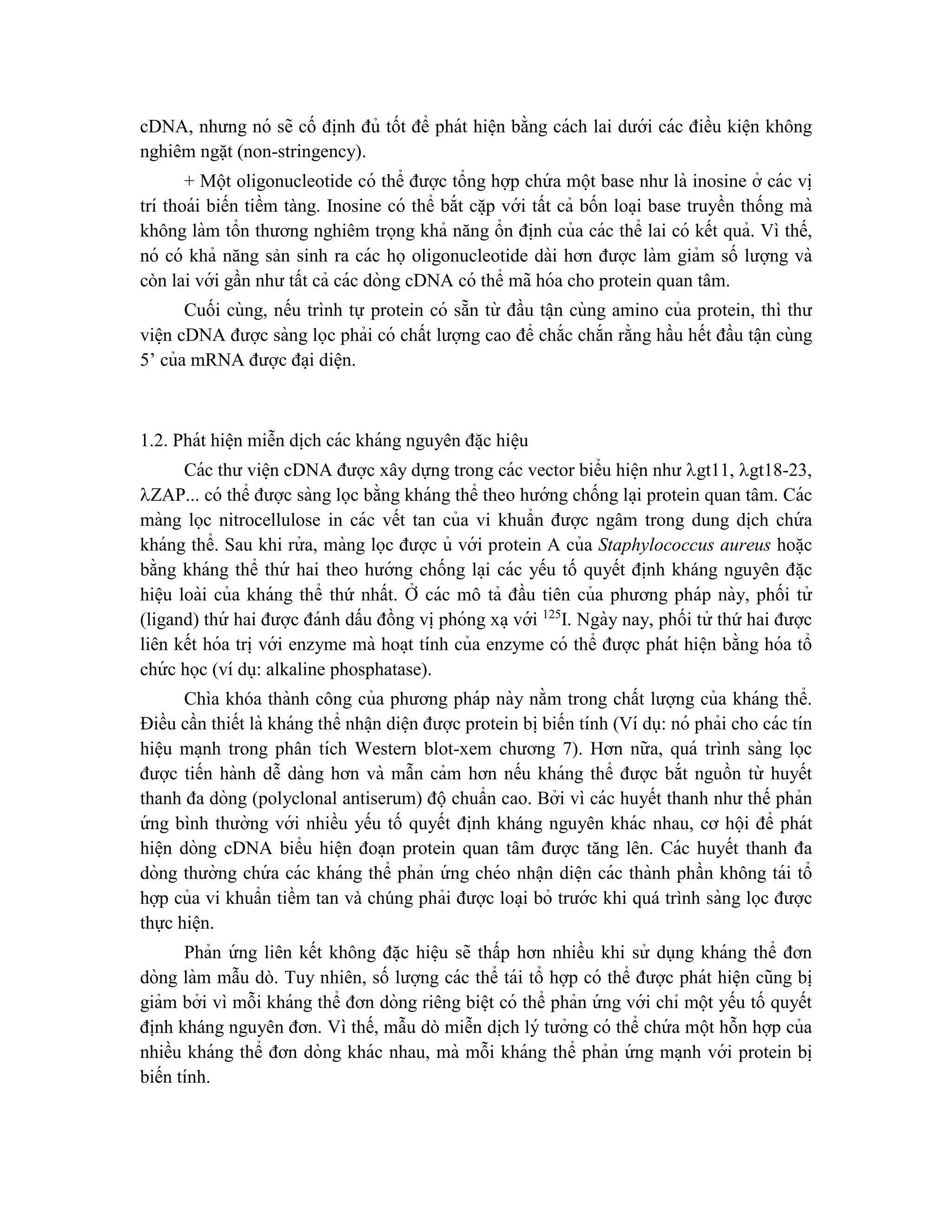 cDNA, nhưng nó sẽ cố đi ̣
nh đủ tốt để phát hiê ̣n bằng cách lai dưới các điều kiê ̣n không
nghiêm ngặt (non-stringency).
+ Một oligonucleotide có thể được tổng hợp chứ a một base như là inosine ở các vi ̣
trí thoái biến tiềm tàng. Inosine có thể bắt că ̣p với tất cả bốn loa ̣i base truyền thống mà
không làm tổn thương nghiêm trọng khả năng ổn đi ̣
nh của các thể lai có kết quả. Vì thế,
nó có khả năng sản sinh ra các họ oligonucleotide dài hơn được làm giảm số lượng và
còn lai với gần như tất cả các dòng cDNA có thể mã hóa cho protein quan tâm.
Cuối cùng, nếu trình tự protein có sẵn từ đầu tâ ̣n cùng amino của protein, thì thư
viê ̣n cDNA được sàng lọc phải có chất lượng cao để chắc chắn rằng hầu hết đầu tâ ̣n cùng
5’ của mRNA được đa ̣i diê ̣n.
1.2. Phát hiê ̣n miễn di ̣
ch các kháng nguyên đă ̣c hiê ̣u
Các thư viê ̣n cDNA được xây dựng trong các vector biểu hiê ̣n như gt11, gt18-23,
ZAP... có thể được sàng lọc bằng kháng thể theo hướng chống la ̣i protein quan tâm. Các
màng lọc nitrocellulose in các vết tan của vi khuẩn được ngâm trong dung di ̣
ch chứ a
kháng thể. Sau khi rử a, màng lọc được ủ với protein A của Staphylococcus aureus hoă ̣c
bằng kháng thể thứ hai theo hướng chống la ̣i các yếu tố quyết định kháng nguyên đă ̣c
hiê ̣u loài của kháng thể thứ nhất. Ơ
̉ các mô tả đầu tiên của phương pháp này, phối tử
(ligand) thứ hai được đánh dấu đồng vi ̣phóng xa ̣với 125
I. Ngày nay, phối tử thứ hai được
liên kết hóa tri ̣với enzyme mà hoa ̣t tính của enzyme có thể được phát hiê ̣n bằng hóa tổ
chứ c học (ví dụ: alkaline phosphatase).
Chìa khóa thành công của phương pháp này nằm trong chất lượng của kháng thể.
Điều cần thiết là kháng thể nhâ ̣n diê ̣n được protein bi ̣biến tính (Ví dụ: nó phải cho các tín
hiê ̣u ma ̣nh trong phân tích Western blot-xem chương 7). Hơn nữa, quá trình sàng lọc
được tiến hành dễ dàng hơn và mẫn cảm hơn nếu kháng thể được bắt nguồn từ huyết
thanh đa dòng (polyclonal antiserum) độchuẩn cao. Bởi vì các huyết thanh như thế phản
ứ ng bình thường với nhiều yếu tố quyết định kháng nguyên khác nhau, cơ hội để phát
hiê ̣n dòng cDNA biểu hiê ̣n đoa ̣n protein quan tâm được tăng lên. Các huyết thanh đa
dòng thường chứ a các kháng thể phản ứ ng chéo nhâ ̣n diê ̣n các thành phần không tái tổ
hợp của vi khuẩn tiềm tan và chúng phải được loa ̣i bỏ trước khi quá trình sàng lọc được
thực hiê ̣n.
Phản ứ ng liên kết không đă ̣c hiê ̣u sẽ thấp hơn nhiều khi sử dụng kháng thể đơn
dòng làm mẫu dò. Tuy nhiên, số lượng các thể tái tổ hợp có thể được phát hiê ̣n cũng bi ̣
giảm bởi vì mỗi kháng thể đơn dòng riêng biê ̣t có thể phản ứ ng với chỉ một yếu tố quyết
định kháng nguyên đơn. Vì thế, mẫu dò miễn di ̣
ch lý tưởng có thể chứ a một hỗn hợp của
nhiều kháng thể đơn dòng khác nhau, mà mỗi kháng thể phản ứ ng ma ̣nh với protein bi ̣
biến tính.
 