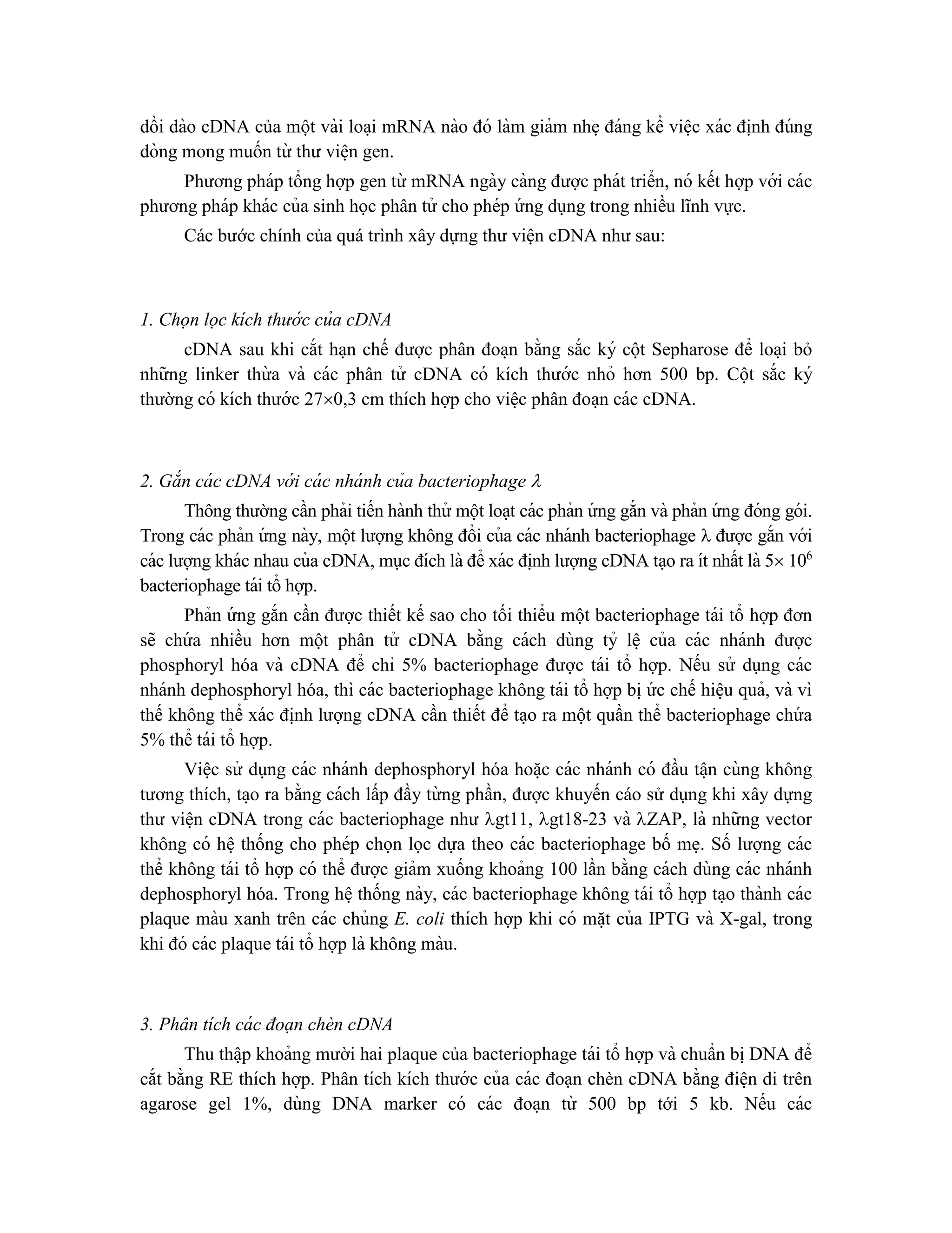 dồi dào cDNA của một vài loa ̣i mRNA nào đó làm giảm nhe ̣đáng kể viê ̣c xác đi ̣
nh đúng
dòng mong muốn từ thư viê ̣n gen.
Phương pháp tổng hợp gen từ mRNA ngày càng được phát triển, nó kết hợp với các
phương pháp khác của sinh học phân tử cho phép ứ ng dụng trong nhiều lĩnh vực.
Các bước chính của quá trình xây dựng thư viện cDNA như sau:
1. Chọn lọc kích thướ c của cDNA
cDNA sau khi cắt ha ̣n chế được phân đoa ̣n bằng sắc ký cột Sepharose để loa ̣i bỏ
những linker thừ a và các phân tử cDNA có kích thước nhỏ hơn 500 bp. Cột sắc ký
thường có kích thước 270,3 cm thích hợp cho viê ̣c phân đoa ̣n các cDNA.
2. Gắn cá c cDNA vớ i cá c nhá nh của bacteriophage 
Thông thường cần phải tiến hành thử một loa ̣t các phản ứ ng gắn và phản ứ ng đóng gói.
Trong các phản ứ ng này, một lượng không đổi của các nhánh bacteriophage  được gắn với
các lượng khác nhau của cDNA, mục đích là để xác đi ̣
nh lượng cDNA ta ̣o ra ít nhất là 5 106
bacteriophage tái tổ hợp.
Phản ứ ng gắn cần được thiết kế sao cho tối thiểu một bacteriophage tái tổ hợp đơn
sẽ chứ a nhiều hơn một phân tử cDNA bằng cách dùng tỷ lê ̣ của các nhánh được
phosphoryl hóa và cDNA để chỉ 5% bacteriophage được tái tổ hợp. Nếu sử dụng các
nhánh dephosphoryl hóa, thì các bacteriophage không tái tổ hợp bi ̣ứ c chế hiê ̣u quả, và vì
thế không thể xác đi ̣
nh lượng cDNA cần thiết để ta ̣o ra một quần thể bacteriophage chứ a
5% thể tái tổ hợp.
Viê ̣c sử dụng các nhánh dephosphoryl hóa hoă ̣c các nhánh có đầu tâ ̣n cùng không
tương thích, ta ̣o ra bằng cách lấp đầy từ ng phần, được khuyến cáo sử dụng khi xây dựng
thư viê ̣n cDNA trong các bacteriophage như gt11, gt18-23 và ZAP, là những vector
không có hê ̣thống cho phép chọn lọc dựa theo các bacteriophage bố me ̣. Số lượng các
thể không tái tổ hợp có thể được giảm xuống khoảng 100 lần bằng cách dùng các nhánh
dephosphoryl hóa. Trong hê ̣thống này, các bacteriophage không tái tổ hợp ta ̣o thành các
plaque màu xanh trên các chủng E. coli thích hợp khi có mă ̣t của IPTG và X-gal, trong
khi đó các plaque tái tổ hợp là không màu.
3. Phân tích cá c đoạn chèn cDNA
Thu thâ ̣p khoảng mười hai plaque của bacteriophage tái tổ hợp và chuẩn bi ̣DNA để
cắt bằng RE thích hợp. Phân tích kích thước của các đoạn chèn cDNA bằng điê ̣n di trên
agarose gel 1%, dùng DNA marker có các đoa ̣n từ 500 bp tới 5 kb. Nếu các
 