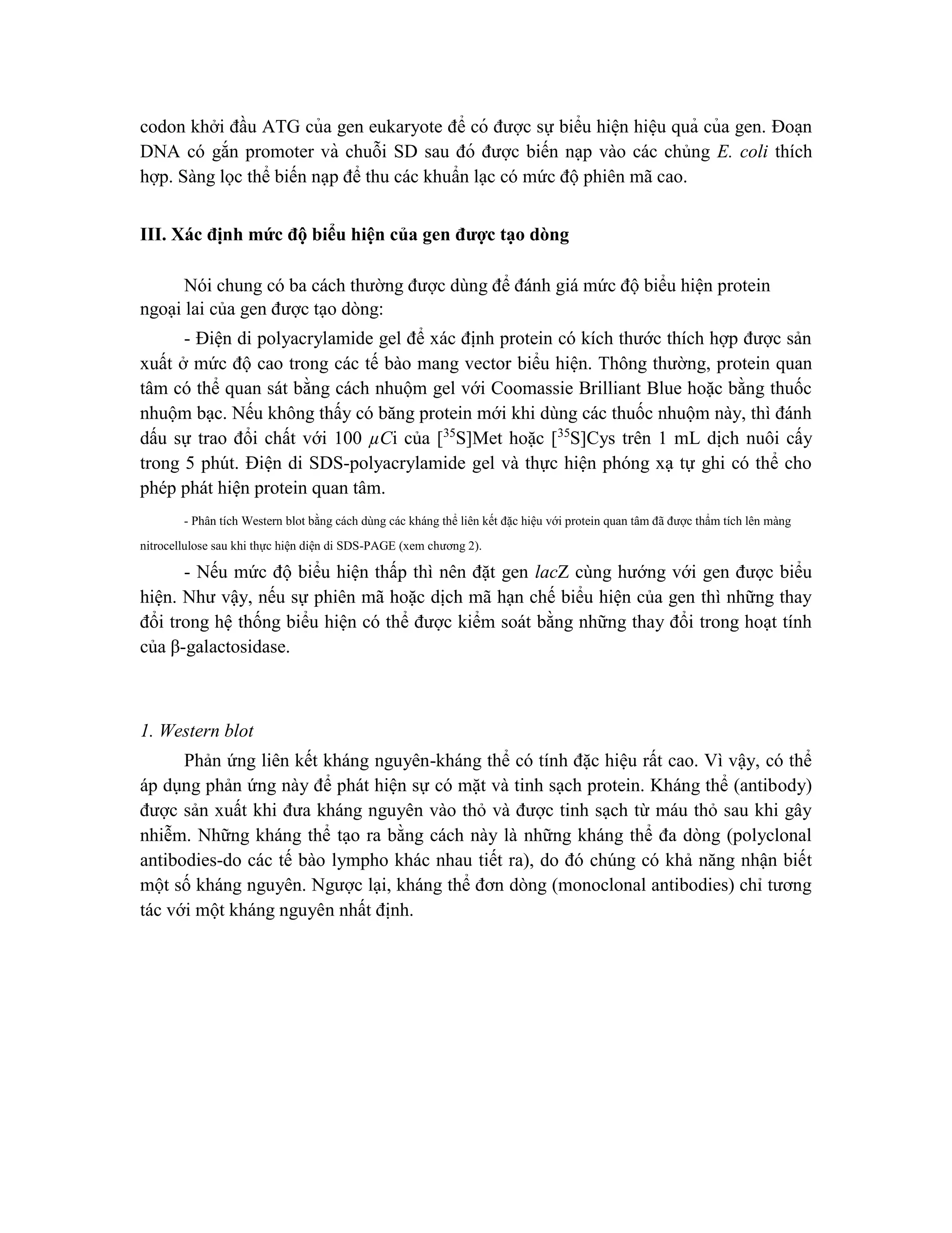 codon khởi đầu ATG của gen eukaryote để có được sự biểu hiê ̣n hiê ̣u quả của gen. Đoa ̣n
DNA có gắn promoter và chuỗi SD sau đó được biến nạp vào các chủng E. coli thích
hợp. Sàng lọc thể biến nạp để thu các khuẩn lạc có mức độ phiên mã cao.
III. Xác định mức độ biểu hiện của gen được tạo dòng
Nói chung có ba cách thường được dùng để đánh giá mức độ biểu hiện protein
ngoại lai của gen được tạo dòng:
- Điện di polyacrylamide gel để xác định protein có kích thước thích hợp được sản
xuất ở mức độ cao trong các tế bào mang vector biểu hiện. Thông thường, protein quan
tâm có thể quan sát bằng cách nhuộm gel với Coomassie Brilliant Blue hoặc bằng thuốc
nhuộm bạc. Nếu không thấy có băng protein mới khi dùng các thuốc nhuộm này, thì đánh
dấu sự trao đổi chất với 100 µCi của [35
S]Met hoặc [35
S]Cys trên 1 mL dịch nuôi cấy
trong 5 phút. Điện di SDS-polyacrylamide gel và thực hiện phóng xạ tự ghi có thể cho
phép phát hiện protein quan tâm.
- Phân tích Western blot bằng cách dùng các kháng thể liên kết đặc hiệu với protein quan tâm đã được thẩm tích lên màng
nitrocellulose sau khi thực hiện diện di SDS-PAGE (xem chương 2).
- Nếu mức độ biểu hiện thấp thì nên đặt gen lacZ cùng hướng với gen được biểu
hiện. Như vậy, nếu sự phiên mã hoặc dịch mã hạn chế biểu hiện của gen thì những thay
đổi trong hệ thống biểu hiện có thể được kiểm soát bằng những thay đổi trong hoạt tính
của β-galactosidase.
1. Western blot
Phản ứng liên kết kháng nguyên-kháng thể có tính đặc hiệu rất cao. Vì vậy, có thể
áp dụng phản ứng này để phát hiện sự có mặt và tinh sạch protein. Kháng thể (antibody)
được sản xuất khi đưa kháng nguyên vào thỏ và được tinh sạch từ máu thỏ sau khi gây
nhiễm. Những kháng thể tạo ra bằng cách này là những kháng thể đa dòng (polyclonal
antibodies-do các tế bào lympho khác nhau tiết ra), do đó chúng có khả năng nhận biết
một số kháng nguyên. Ngược lại, kháng thể đơn dòng (monoclonal antibodies) chỉ tương
tác với một kháng nguyên nhất định.
 