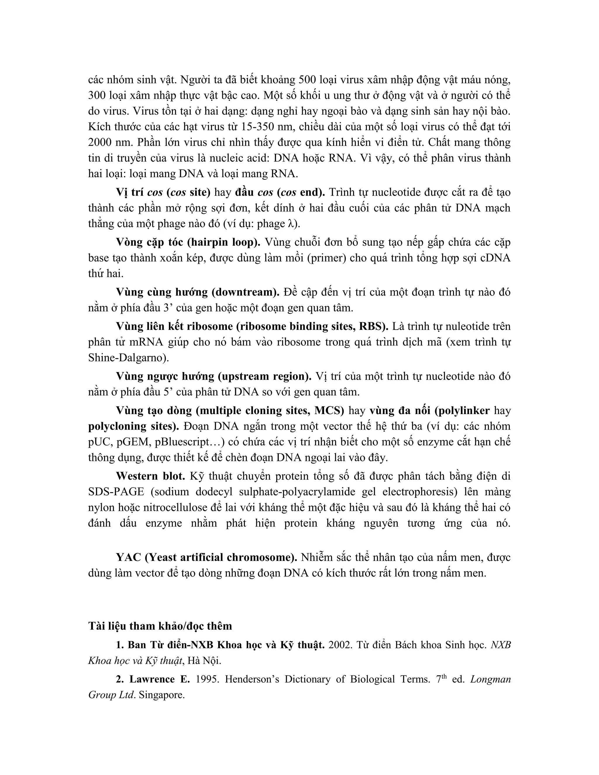 các nhóm sinh vật. Người ta đã biết khoảng 500 loại virus xâm nhập động vật máu nóng,
300 loại xâm nhập thực vật bậc cao. Một số khối u ung thư ở động vật và ở người có thể
do virus. Virus tồn tại ở hai dạng: dạng nghỉ hay ngoại bào và dạng sinh sản hay nội bào.
Kích thước của các hạt virus từ 15-350 nm, chiều dài của một số loại virus có thể đạt tới
2000 nm. Phần lớn virus chỉ nhìn thấy được qua kính hiển vi điển tử. Chất mang thông
tin di truyền của virus là nucleic acid: DNA hoặc RNA. Vì vậy, có thể phân virus thành
hai loại: loại mang DNA và loại mang RNA.
Vị trí cos (cos site) hay đầu cos (cos end). Trình tự nucleotide được cắt ra để tạo
thành các phần mở rộng sợi đơn, kết dính ở hai đầu cuối của các phân tử DNA mạch
thẳng của một phage nào đó (ví dụ: phage λ).
Vòng cặp tóc (hairpin loop). Vùng chuỗi đơn bổ sung tạo nếp gấp chứa các cặp
base tạo thành xoắn kép, được dùng làm mồi (primer) cho quá trình tổng hợp sợi cDNA
thứ hai.
Vùng cùng hướng (downtream). Đề cập đến vị trí của một đoạn trình tự nào đó
nằm ở phía đầu 3’ của gen hoặc một đoạn gen quan tâm.
Vùng liên kết ribosome (ribosome binding sites, RBS). Là trình tự nuleotide trên
phân tử mRNA giúp cho nó bám vào ribosome trong quá trình di ̣
ch mã (xem trình tự
Shine-Dalgarno).
Vùng ngược hướng (upstream region). Vị trí của một trình tự nucleotide nào đó
nằm ở phía đầu 5’ của phân tử DNA so với gen quan tâm.
Vùng tạo dòng (multiple cloning sites, MCS) hay vùng đa nối (polylinker hay
polycloning sites). Đoa ̣n DNA ngắn trong một vector thế hệ thứ ba (ví dụ: các nhóm
pUC, pGEM, pBluescript…) có chứa các vi ̣trí nhâ ̣n biết cho một số enzyme cắt hạn chế
thông dụng, được thiết kế để chèn đoạn DNA ngoại lai vào đây.
Western blot. Kỹ thuật chuyển protein tổng số đã được phân tách bằng điện di
SDS-PAGE (sodium dodecyl sulphate-polyacrylamide gel electrophoresis) lên màng
nylon hoặc nitrocellulose để lai với kháng thể một đặc hiệu và sau đó là kháng thể hai có
đánh dấu enzyme nhằm phát hiện protein kháng nguyên tương ứng của nó.
YAC (Yeast artificial chromosome). Nhiễm sắc thể nhân tạo của nấm men, được
dùng làm vector để tạo dòng những đoạn DNA có kích thước rất lớn trong nấm men.
Tài liệu tham khảo/đọc thêm
1. Ban Từ điển-NXB Khoa học và Kỹ thuật. 2002. Từ điển Bách khoa Sinh học. NXB
Khoa học và Kỹ thuật, Hà Nội.
2. Lawrence E. 1995. Henderson’s Dictionary of Biological Terms. 7th
ed. Longman
Group Ltd. Singapore.
 