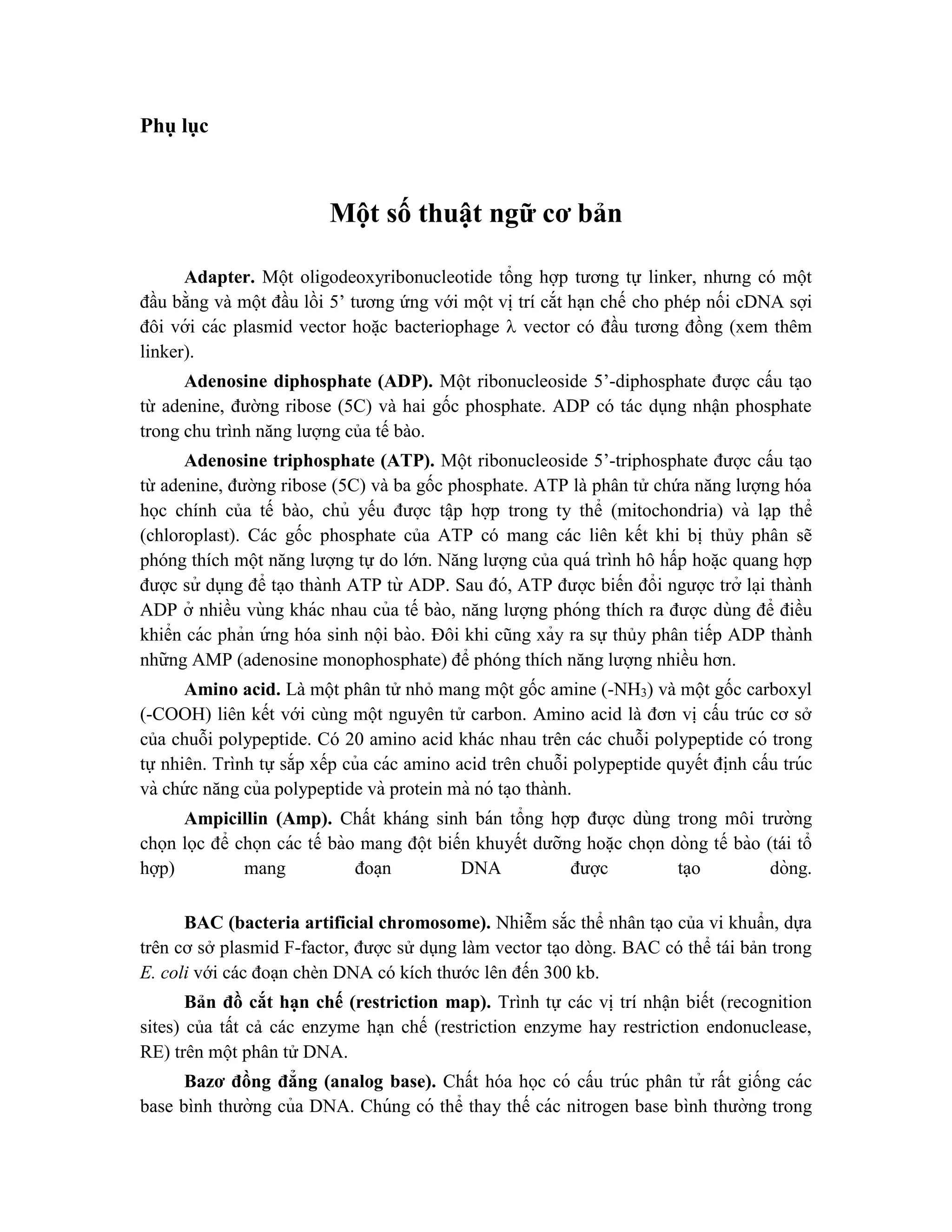 Phụ lục
Một số thuật ngữ cơ bản
Adapter. Một oligodeoxyribonucleotide tổng hợp tương tự linker, nhưng có một
đầu bằng và một đầu lồi 5’ tương ứng với một vị trí cắt hạn chế cho phép nối cDNA sợi
đôi với các plasmid vector hoă ̣c bacteriophage  vector có đầu tương đồng (xem thêm
linker).
Adenosine diphosphate (ADP). Một ribonucleoside 5’-diphosphate được cấu tạo
từ adenine, đường ribose (5C) và hai gốc phosphate. ADP có tác dụng nhận phosphate
trong chu trình năng lượng của tế bào.
Adenosine triphosphate (ATP). Một ribonucleoside 5’-triphosphate được cấu tạo
từ adenine, đường ribose (5C) và ba gốc phosphate. ATP là phân tử chứa năng lượng hóa
học chính của tế bào, chủ yếu được tâ ̣p hợp trong ty thể (mitochondria) và lạp thể
(chloroplast). Các gốc phosphate của ATP có mang các liên kết khi bị thủy phân sẽ
phóng thích một năng lượng tự do lớn. Năng lượng của quá trình hô hấp hoă ̣c quang hợp
được sử dụng để ta ̣o thành ATP từ ADP. Sau đó, ATP được biến đổi ngược trở la ̣i thành
ADP ở nhiều vùng khác nhau của tế bào, năng lượng phóng thích ra được dùng để điều
khiển các phản ứ ng hóa sinh nội bào. Đôi khi cũng xảy ra sự thủy phân tiếp ADP thành
những AMP (adenosine monophosphate) để phóng thích năng lượng nhiều hơn.
Amino acid. Là một phân tử nhỏ mang một gốc amine (-NH3) và một gốc carboxyl
(-COOH) liên kết với cùng một nguyên tử carbon. Amino acid là đơn vị cấu trúc cơ sở
của chuỗi polypeptide. Có 20 amino acid khác nhau trên các chuỗi polypeptide có trong
tự nhiên. Trình tự sắp xếp của các amino acid trên chuỗi polypeptide quyết đi ̣
nh cấu trúc
và chứ c năng của polypeptide và protein mà nó ta ̣o thành.
Ampicillin (Amp). Chất kháng sinh bán tổng hợp được dùng trong môi trường
chọn lọc để chọn các tế bào mang đột biến khuyết dưỡng hoă ̣c chọn dòng tế bào (tái tổ
hợp) mang đoa ̣n DNA được tạo dòng.
BAC (bacteria artificial chromosome). Nhiễm sắc thể nhân tạo của vi khuẩn, dựa
trên cơ sở plasmid F-factor, được sử dụng làm vector tạo dòng. BAC có thể tái bản trong
E. coli với các đoạn chèn DNA có kích thước lên đến 300 kb.
Bản đồ cắt hạn chế (restriction map). Trình tự các vị trí nhận biết (recognition
sites) của tất cả các enzyme hạn chế (restriction enzyme hay restriction endonuclease,
RE) trên một phân tử DNA.
Bazơ đồng đẳng (analog base). Chất hóa học có cấu trúc phân tử rất giống các
base bình thường của DNA. Chúng có thể thay thế các nitrogen base bình thường trong
 
