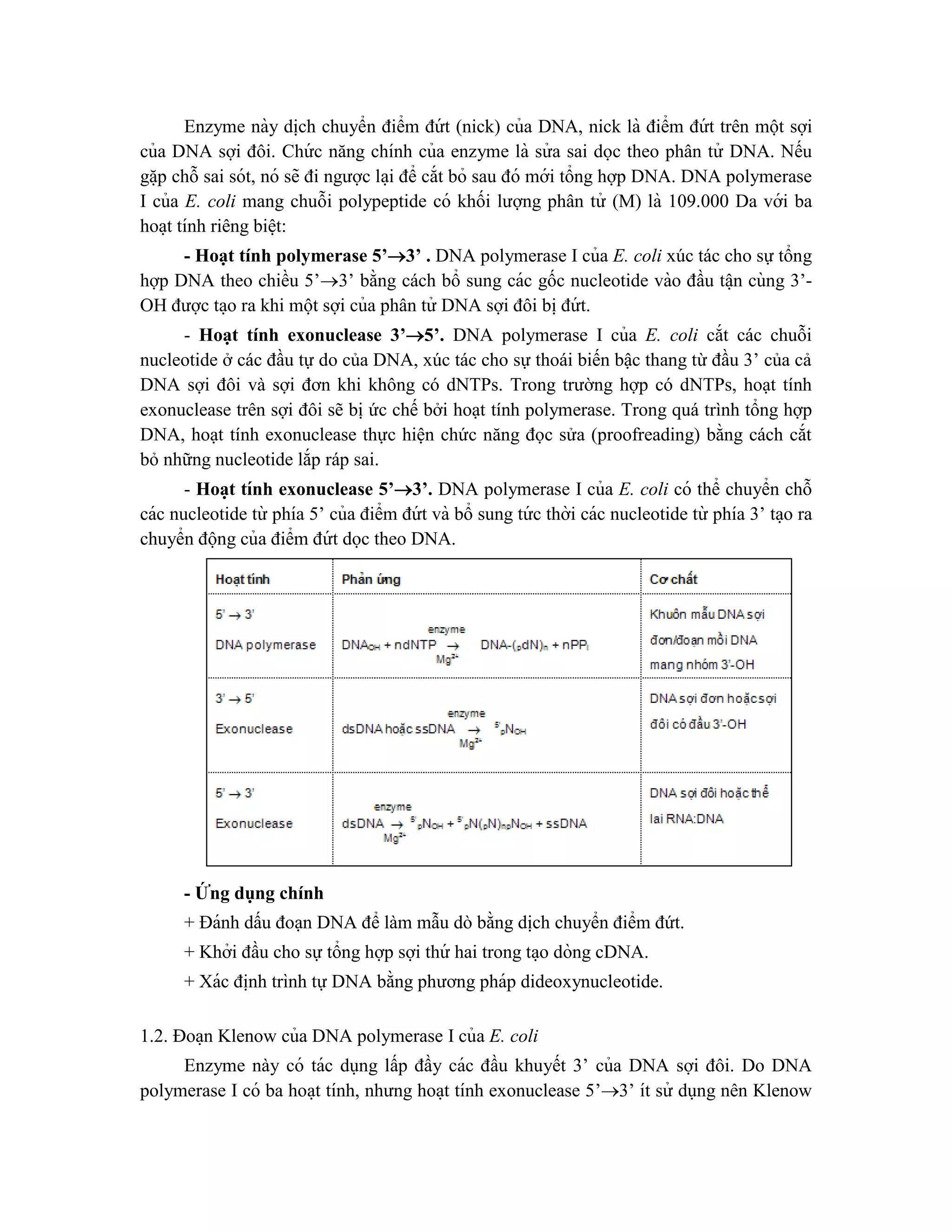 Enzyme này di ̣
ch chuyển điểm đứ t (nick) của DNA, nick là điểm đứ t trên một sợi
của DNA sợi đôi. Chứ c năng chính của enzyme là sử a sai dọc theo phân tử DNA. Nếu
gă ̣p chỗ sai sót, nó sẽ đi ngược la ̣i để cắt bỏ sau đó mới tổng hợp DNA. DNA polymerase
I của E. coli mang chuỗi polypeptide có khối lượng phân tử (M) là 109.000 Da với ba
hoa ̣t tính riêng biê ̣t:
- Hoạt tính polymerase 5’3’ . DNA polymerase I của E. coli xúc tác cho sự tổng
hợp DNA theo chiều 5’3’ bằng cách bổ sung các gốc nucleotide vào đầu tâ ̣n cùng 3’-
OH được ta ̣o ra khi một sợi của phân tử DNA sợi đôi bi ̣đứ t.
- Hoạt tính exonuclease 3’5’. DNA polymerase I của E. coli cắt các chuỗi
nucleotide ở các đầu tự do của DNA, xúc tác cho sự thoái biến bậc thang từ đầu 3’ của cả
DNA sợi đôi và sợi đơn khi không có dNTPs. Trong trường hợp có dNTPs, hoạt tính
exonuclease trên sợi đôi sẽ bị ức chế bởi hoạt tính polymerase. Trong quá trình tổng hợp
DNA, hoạt tính exonuclease thực hiện chức năng đọc sửa (proofreading) bằng cách cắt
bỏ những nucleotide lắp ráp sai.
- Hoa ̣t tính exonuclease 5’3’. DNA polymerase I của E. coli có thể chuyển chỗ
các nucleotide từ phía 5’ của điểm đứ t và bổ sung tứ c thời các nucleotide từ phía 3’ ta ̣o ra
chuyển động của điểm đứ t dọc theo DNA.
- Ư
́ ng dụng chính
+ Đánh dấu đoạn DNA để làm mẫu dò bằng di ̣
ch chuyển điểm đứt.
+ Khởi đầu cho sự tổng hợp sợi thứ hai trong ta ̣o dòng cDNA.
+ Xác đi ̣
nh trình tự DNA bằng phương pháp dideoxynucleotide.
1.2. Đoa ̣n Klenow của DNA polymerase I của E. coli
Enzyme này có tác dụng lấp đầy các đầu khuyết 3’ của DNA sợi đôi. Do DNA
polymerase I có ba hoa ̣t tính, nhưng hoa ̣t tính exonuclease 5’3’ ít sử dụng nên Klenow
 