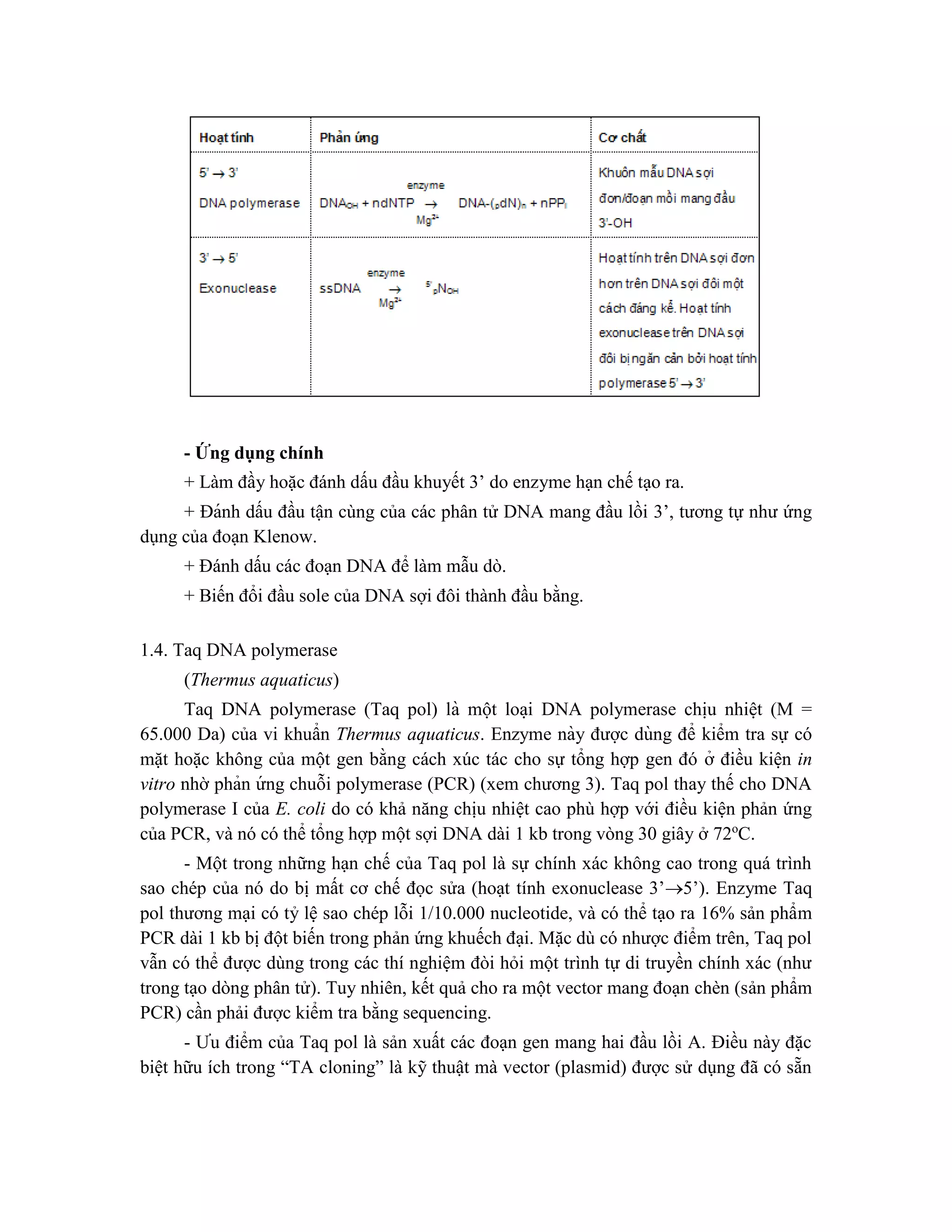 - Ứng dụng chính
+ Làm đầy hoặc đánh dấu đầu khuyết 3’ do enzyme hạn chế tạo ra.
+ Đánh dấu đầu tận cùng của các phân tử DNA mang đầu lồi 3’, tương tự như ứng
dụng của đoạn Klenow.
+ Đánh dấu các đoạn DNA để làm mẫu dò.
+ Biến đổi đầu sole của DNA sợi đôi thành đầu bằng.
1.4. Taq DNA polymerase
(Thermus aquaticus)
Taq DNA polymerase (Taq pol) là một loa ̣i DNA polymerase chi ̣
u nhiê ̣t (M =
65.000 Da) của vi khuẩn Thermus aquaticus. Enzyme này được dùng để kiểm tra sự có
mặt hoặc không của một gen bằng cách xúc tác cho sự tổng hợp gen đó ở điều kiê ̣n in
vitro nhờ phản ứ ng chuỗi polymerase (PCR) (xem chương 3). Taq pol thay thế cho DNA
polymerase I của E. coli do có khả năng chịu nhiệt cao phù hợp với điều kiện phản ứng
của PCR, và nó có thể tổng hợp một sợi DNA dài 1 kb trong vòng 30 giây ở 72o
C.
- Một trong những hạn chế của Taq pol là sự chính xác không cao trong quá trình
sao chép của nó do bị mất cơ chế đọc sửa (hoạt tính exonuclease 3’5’). Enzyme Taq
pol thương mại có tỷ lệ sao chép lỗi 1/10.000 nucleotide, và có thể tạo ra 16% sản phẩm
PCR dài 1 kb bị đột biến trong phản ứng khuếch đại. Mặc dù có nhược điểm trên, Taq pol
vẫn có thể được dùng trong các thí nghiệm đòi hỏi một trình tự di truyền chính xác (như
trong tạo dòng phân tử). Tuy nhiên, kết quả cho ra một vector mang đoạn chèn (sản phẩm
PCR) cần phải được kiểm tra bằng sequencing.
- Ưu điểm của Taq pol là sản xuất các đoạn gen mang hai đầu lồi A. Điều này đặc
biệt hữu ích trong “TA cloning” là kỹ thuật mà vector (plasmid) được sử dụng đã có sẵn
 
