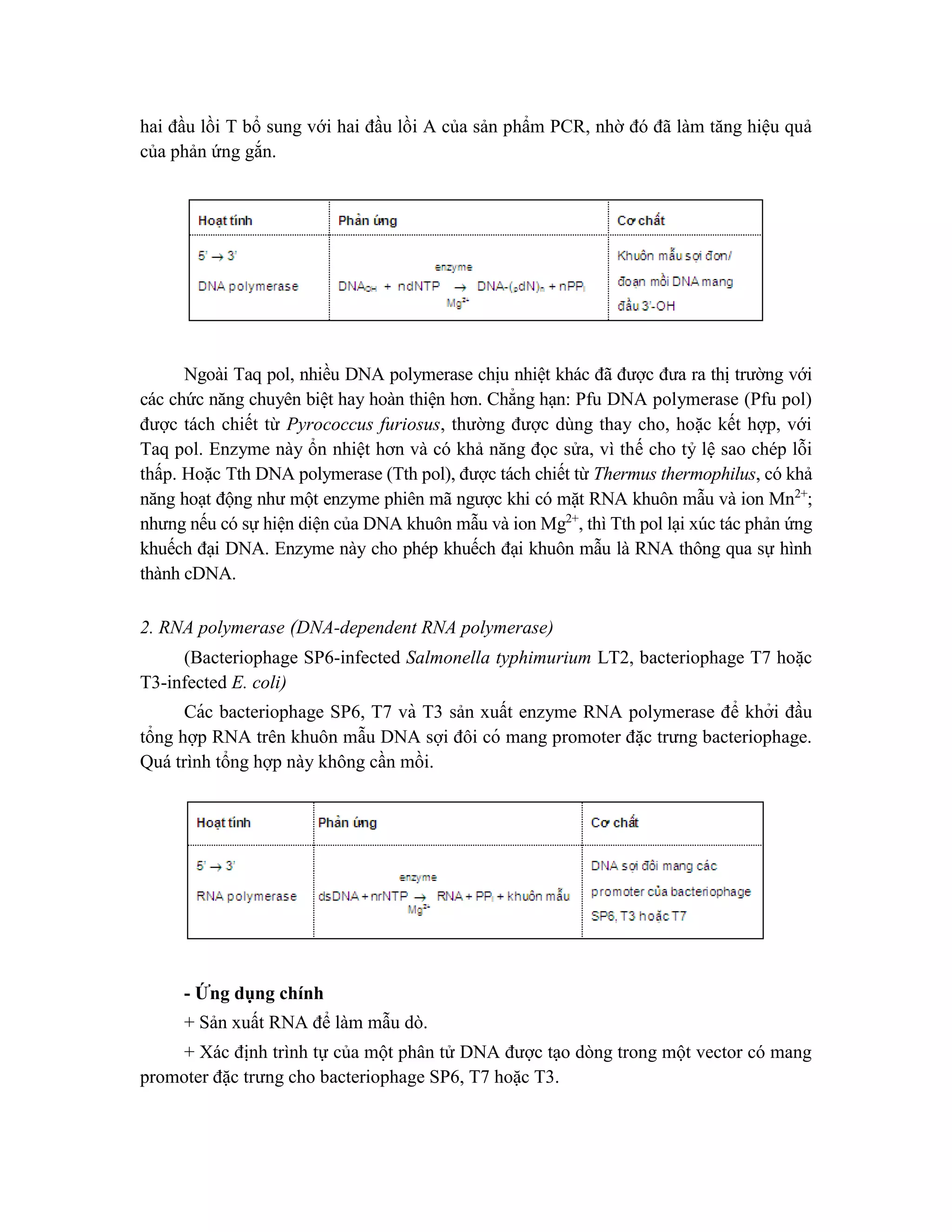hai đầu lồi T bổ sung với hai đầu lồi A của sản phẩm PCR, nhờ đó đã làm tăng hiệu quả
của phản ứng gắn.
Ngoài Taq pol, nhiều DNA polymerase chịu nhiệt khác đã được đưa ra thị trường với
các chức năng chuyên biệt hay hoàn thiện hơn. Chẳng hạn: Pfu DNA polymerase (Pfu pol)
được tách chiết từ Pyrococcus furiosus, thường được dùng thay cho, hoặc kết hợp, với
Taq pol. Enzyme này ổn nhiệt hơn và có khả năng đọc sửa, vì thế cho tỷ lệ sao chép lỗi
thấp. Hoặc Tth DNA polymerase (Tth pol), được tách chiết từ Thermus thermophilus, có khả
năng hoạt động như một enzyme phiên mã ngược khi có mặt RNA khuôn mẫu và ion Mn2+
;
nhưng nếu có sự hiện diện của DNA khuôn mẫu và ion Mg2+
, thì Tth pol lại xúc tác phản ứng
khuếch đại DNA. Enzyme này cho phép khuếch đại khuôn mẫu là RNA thông qua sự hình
thành cDNA.
2. RNA polymerase (DNA-dependent RNA polymerase)
(Bacteriophage SP6-infected Salmonella typhimurium LT2, bacteriophage T7 hoă ̣c
T3-infected E. coli)
Các bacteriophage SP6, T7 và T3 sản xuất enzyme RNA polymerase để khởi đầu
tổng hợp RNA trên khuôn mẫu DNA sợi đôi có mang promoter đă ̣c trưng bacteriophage.
Quá trình tổng hợp này không cần mồi.
- Ứng dụng chính
+ Sản xuất RNA để làm mẫu dò.
+ Xác định trình tự của một phân tử DNA được tạo dòng trong một vector có mang
promoter đặc trưng cho bacteriophage SP6, T7 hoặc T3.
 