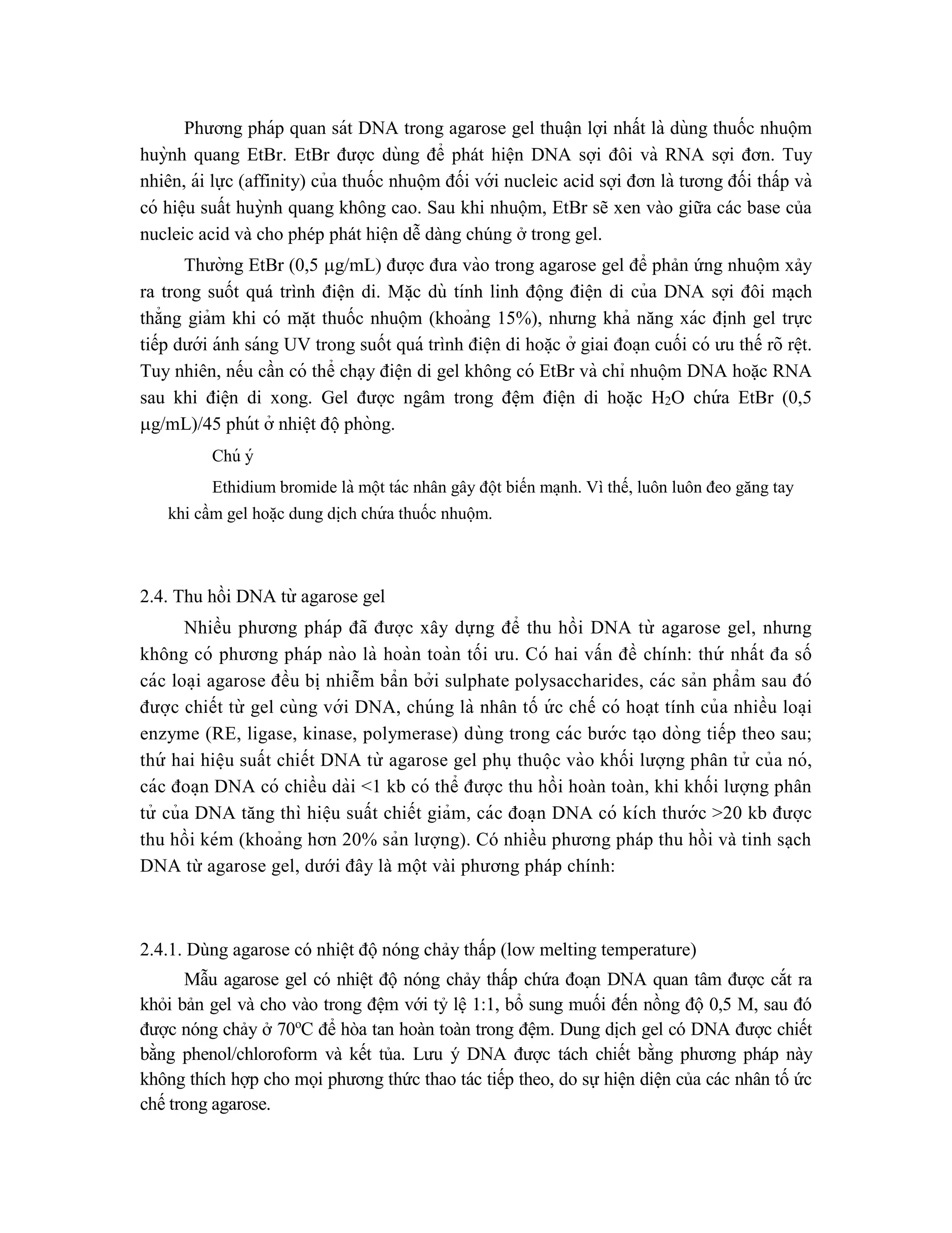 Phương pháp quan sát DNA trong agarose gel thuâ ̣n lợi nhất là dùng thuốc nhuộm
huỳnh quang EtBr. EtBr được dùng để phát hiện DNA sợi đôi và RNA sợi đơn. Tuy
nhiên, ái lực (affinity) của thuốc nhuộm đối với nucleic acid sợi đơn là tương đối thấp và
có hiê ̣u suất huỳnh quang không cao. Sau khi nhuộm, EtBr sẽ xen vào giữa các base của
nucleic acid và cho phép phát hiện dễ dàng chúng ở trong gel.
Thường EtBr (0,5 g/mL) được đưa vào trong agarose gel để phản ứng nhuộm xảy
ra trong suốt quá trình điện di. Mă ̣c dù tính linh động điê ̣n di của DNA sợi đôi ma ̣ch
thẳng giảm khi có mă ̣t thuốc nhuộm (khoảng 15%), nhưng khả năng xác đi ̣
nh gel trực
tiếp dưới ánh sáng UV trong suốt quá trình điện di hoă ̣c ở giai đoa ̣n cuối có ưu thế rõ rê ̣t.
Tuy nhiên, nếu cần có thể chạy điện di gel không có EtBr và chỉ nhuộm DNA hoặc RNA
sau khi điê ̣n di xong. Gel được ngâm trong đê ̣m điê ̣n di hoă ̣c H2O chứ a EtBr (0,5
g/mL)/45 phút ở nhiê ̣t độphòng.
Chú ý
Ethidium bromide là một tác nhân gây đột biến ma ̣nh. Vì thế, luôn luôn đeo găng tay
khi cầm gel hoă ̣c dung di ̣
ch chứ a thuốc nhuộm.
2.4. Thu hồi DNA từ agarose gel
Nhiều phương pháp đã được xây dựng để thu hồi DNA từ agarose gel, nhưng
không có phương pháp nào là hoàn toàn tối ưu. Có hai vấn đề chính: thứ nhất đa số
các loa ̣i agarose đều bi ̣nhiễm bẩn bởi sulphate polysaccharides, các sản phẩm sau đó
được chiết từ gel cùng với DNA, chúng là nhân tố ứ c chế có hoạt tính của nhiều loa ̣i
enzyme (RE, ligase, kinase, polymerase) dùng trong các bước ta ̣o dòng tiếp theo sau;
thứ hai hiê ̣u suất chiết DNA từ agarose gel phụ thuô ̣c vào khối lượng phân tử của nó,
các đoa ̣n DNA có chiều dài <1 kb có thể được thu hồi hoàn toàn, khi khối lượng phân
tử của DNA tăng thì hiê ̣u suất chiết giảm, các đoa ̣n DNA có kích thước >20 kb được
thu hồi kém (khoảng hơn 20% sản lượng). Có nhiều phương pháp thu hồi và tinh sạch
DNA từ agarose gel, dưới đây là một vài phương pháp chính:
2.4.1. Dùng agarose có nhiệt độ nóng chảy thấp (low melting temperature)
Mẫu agarose gel có nhiệt độ nóng chảy thấp chứa đoạn DNA quan tâm được cắt ra
khỏi bản gel và cho vào trong đệm với tỷ lệ 1:1, bổ sung muối đến nồng độ 0,5 M, sau đó
được nóng chảy ở 70o
C để hòa tan hoàn toàn trong đệm. Dung dịch gel có DNA được chiết
bằng phenol/chloroform và kết tủa. Lưu ý DNA được tách chiết bằng phương pháp này
không thích hợp cho mọi phương thức thao tác tiếp theo, do sự hiện diện của các nhân tố ức
chế trong agarose.
 