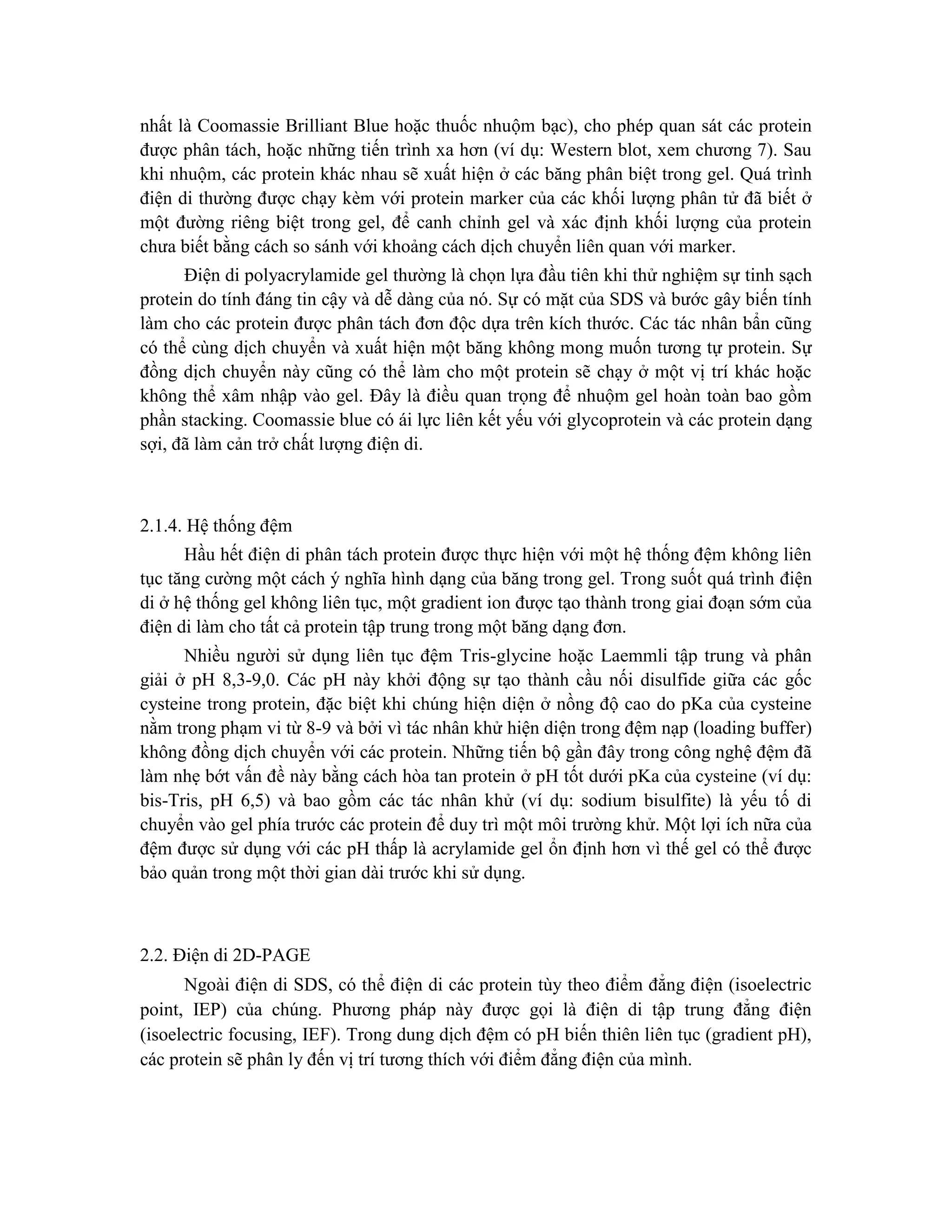 nhất là Coomassie Brilliant Blue hoặc thuốc nhuộm bạc), cho phép quan sát các protein
được phân tách, hoặc những tiến trình xa hơn (ví dụ: Western blot, xem chương 7). Sau
khi nhuộm, các protein khác nhau sẽ xuất hiện ở các băng phân biệt trong gel. Quá trình
điện di thường được chạy kèm với protein marker của các khối lượng phân tử đã biết ở
một đường riêng biệt trong gel, để canh chỉnh gel và xác định khối lượng của protein
chưa biết bằng cách so sánh với khoảng cách dịch chuyển liên quan với marker.
Điện di polyacrylamide gel thường là chọn lựa đầu tiên khi thử nghiệm sự tinh sạch
protein do tính đáng tin cậy và dễ dàng của nó. Sự có mặt của SDS và bước gây biến tính
làm cho các protein được phân tách đơn độc dựa trên kích thước. Các tác nhân bẩn cũng
có thể cùng dịch chuyển và xuất hiện một băng không mong muốn tương tự protein. Sự
đồng dịch chuyển này cũng có thể làm cho một protein sẽ chạy ở một vị trí khác hoặc
không thể xâm nhập vào gel. Đây là điều quan trọng để nhuộm gel hoàn toàn bao gồm
phần stacking. Coomassie blue có ái lực liên kết yếu với glycoprotein và các protein dạng
sợi, đã làm cản trở chất lượng điện di.
2.1.4. Hệ thống đệm
Hầu hết điện di phân tách protein được thực hiện với một hệ thống đệm không liên
tục tăng cường một cách ý nghĩa hình dạng của băng trong gel. Trong suốt quá trình điện
di ở hệ thống gel không liên tục, một gradient ion được tạo thành trong giai đoạn sớm của
điện di làm cho tất cả protein tập trung trong một băng dạng đơn.
Nhiều người sử dụng liên tục đệm Tris-glycine hoặc Laemmli tập trung và phân
giải ở pH 8,3-9,0. Các pH này khởi động sự tạo thành cầu nối disulfide giữa các gốc
cysteine trong protein, đặc biệt khi chúng hiện diện ở nồng độ cao do pKa của cysteine
nằm trong phạm vi từ 8-9 và bởi vì tác nhân khử hiện diện trong đệm nạp (loading buffer)
không đồng dịch chuyển với các protein. Những tiến bộ gần đây trong công nghệ đệm đã
làm nhẹ bớt vấn đề này bằng cách hòa tan protein ở pH tốt dưới pKa của cysteine (ví dụ:
bis-Tris, pH 6,5) và bao gồm các tác nhân khử (ví dụ: sodium bisulfite) là yếu tố di
chuyển vào gel phía trước các protein để duy trì một môi trường khử. Một lợi ích nữa của
đệm được sử dụng với các pH thấp là acrylamide gel ổn định hơn vì thế gel có thể được
bảo quản trong một thời gian dài trước khi sử dụng.
2.2. Điện di 2D-PAGE
Ngoài điện di SDS, có thể điện di các protein tùy theo điểm đẳng điện (isoelectric
point, IEP) của chúng. Phương pháp này được gọi là điện di tập trung đẳng điện
(isoelectric focusing, IEF). Trong dung dịch đệm có pH biến thiên liên tục (gradient pH),
các protein sẽ phân ly đến vị trí tương thích với điểm đẳng điện của mình.
 