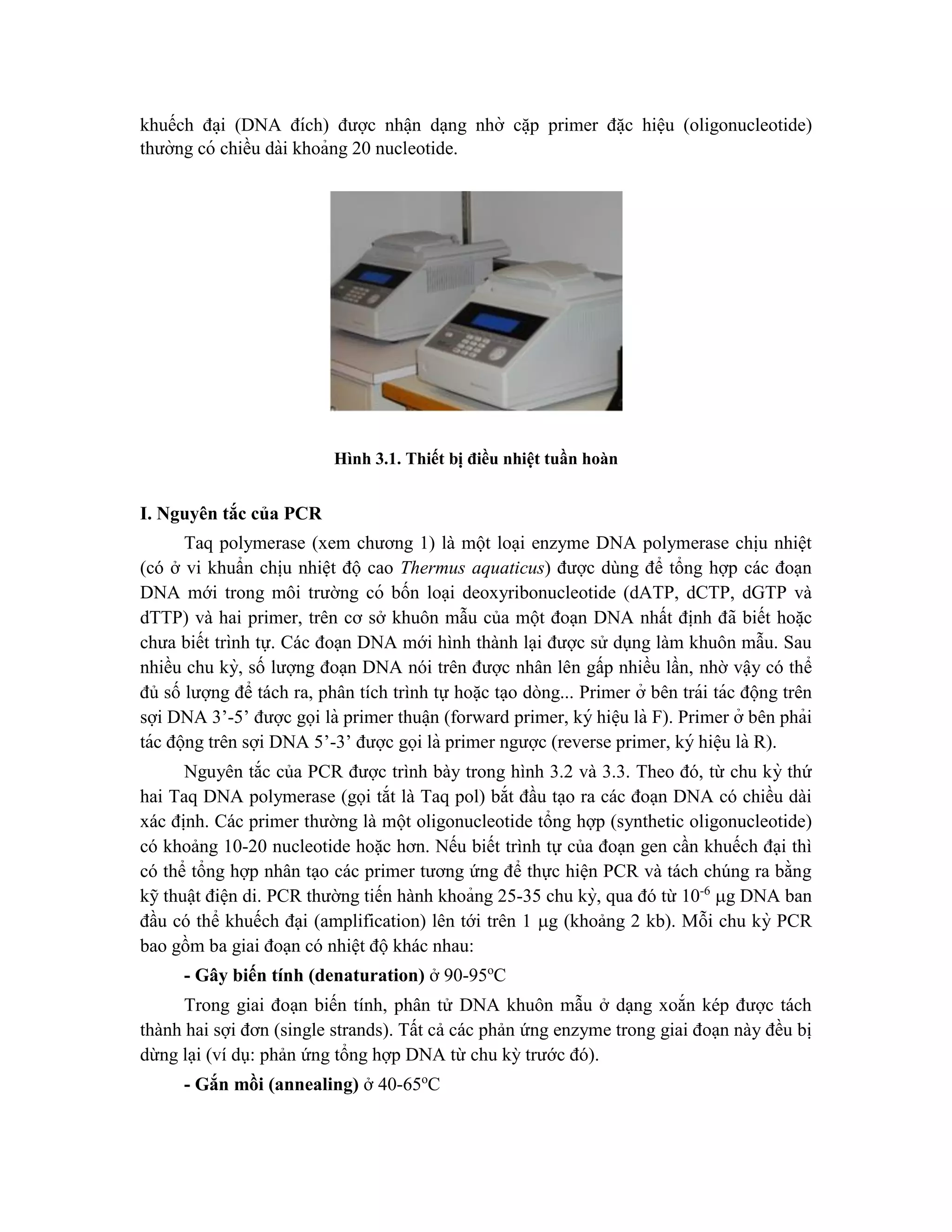 khuếch đa ̣i (DNA đích) được nhâ ̣n dạng nhờ că ̣p primer đă ̣c hiệu (oligonucleotide)
thường có chiều dài khoảng 20 nucleotide.
Hình 3.1. Thiết bị điều nhiệt tuần hoàn
I. Nguyên tắc của PCR
Taq polymerase (xem chương 1) là một loại enzyme DNA polymerase chịu nhiệt
(có ở vi khuẩn chịu nhiệt độ cao Thermus aquaticus) được dùng để tổng hợp các đoạn
DNA mới trong môi trường có bốn loại deoxyribonucleotide (dATP, dCTP, dGTP và
dTTP) và hai primer, trên cơ sở khuôn mẫu của một đoạn DNA nhất định đã biết hoă ̣c
chưa biết trình tự. Các đoạn DNA mới hình thành lại được sử dụng làm khuôn mẫu. Sau
nhiều chu kỳ, số lượng đoạn DNA nói trên được nhân lên gấp nhiều lần, nhờ vậy có thể
đủ số lượng để tách ra, phân tích trình tự hoặc tạo dòng... Primer ở bên trái tác động trên
sợi DNA 3’-5’ được gọi là primer thuâ ̣n (forward primer, ký hiê ̣u là F). Primer ở bên phải
tác động trên sợi DNA 5’-3’ được gọi là primer ngược (reverse primer, ký hiê ̣u là R).
Nguyên tắc của PCR được trình bày trong hình 3.2 và 3.3. Theo đó, từ chu kỳ thứ
hai Taq DNA polymerase (gọi tắt là Taq pol) bắt đầu tạo ra các đoạn DNA có chiều dài
xác định. Các primer thường là một oligonucleotide tổng hợp (synthetic oligonucleotide)
có khoảng 10-20 nucleotide hoặc hơn. Nếu biết trình tự của đoạn gen cần khuếch đại thì
có thể tổng hợp nhân tạo các primer tương ứng để thực hiện PCR và tách chúng ra bằng
kỹ thuật điện di. PCR thường tiến hành khoảng 25-35 chu kỳ, qua đó từ 10-6
g DNA ban
đầu có thể khuếch đại (amplification) lên tới trên 1 g (khoảng 2 kb). Mỗi chu kỳ PCR
bao gồm ba giai đoạn có nhiệt độ khác nhau:
- Gây biến tính (denaturation) ở 90-95o
C
Trong giai đoạn biến tính, phân tử DNA khuôn mẫu ở dạng xoắn kép được tách
thành hai sợi đơn (single strands). Tất cả các phản ứng enzyme trong giai đoạn này đều bị
dừng lại (ví dụ: phản ứng tổng hợp DNA từ chu kỳ trước đó).
- Gắn mồi (annealing) ở 40-65o
C
 