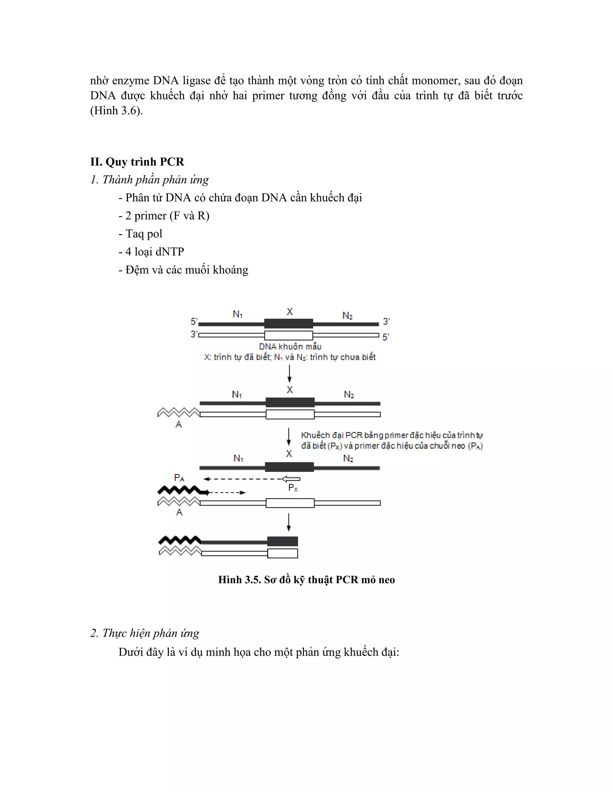 nhờ enzyme DNA ligase để ta ̣o thành một vòng tròn có tính chất monomer, sau đó đoạn
DNA được khuếch đa ̣i nhờ hai primer tương đồng với đầu của trình tự đã biết trước
(Hình 3.6).
II. Quy trình PCR
1. Thành phần phản ứ ng
- Phân tử DNA có chứa đoạn DNA cần khuếch đại
- 2 primer (F và R)
- Taq pol
- 4 loại dNTP
- Đệm và các muối khoáng
Hình 3.5. Sơ đồ kỹ thuật PCR mỏ neo
2. Thực hiện phản ứng
Dưới đây là ví dụminh họa cho một phản ứ ng khuếch đa ̣i:
 