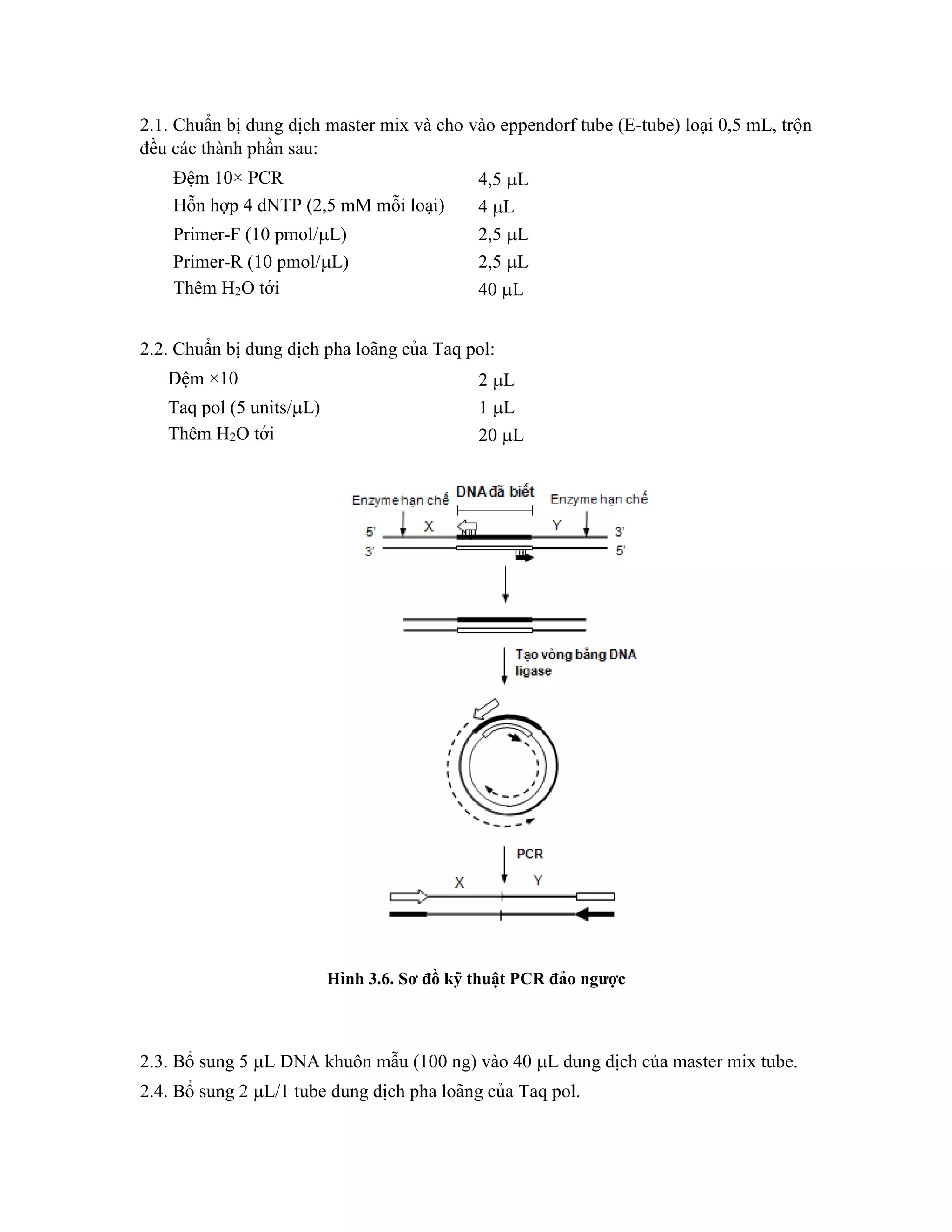 2.1. Chuẩn bị dung di ̣
ch master mix và cho vào eppendorf tube (E-tube) loại 0,5 mL, trộn
đều các thành phần sau:
Đệm 10× PCR 4,5 L
Hỗn hợp 4 dNTP (2,5 mM mỗi loa ̣i) 4 L
Primer-F (10 pmol/L) 2,5 L
Primer-R (10 pmol/L) 2,5 L
Thêm H2O tới 40 L
2.2. Chuẩn bị dung di ̣
ch pha loãng của Taq pol:
Đê ̣m ×10 2 L
Taq pol (5 units/L) 1 L
Thêm H2O tới 20 L
Hình 3.6. Sơ đồ kỹ thuâ ̣t PCR đảo ngược
2.3. Bổ sung 5 L DNA khuôn mẫu (100 ng) vào 40 L dung dịch của master mix tube.
2.4. Bổ sung 2 L/1 tube dung di ̣
ch pha loãng của Taq pol.
 