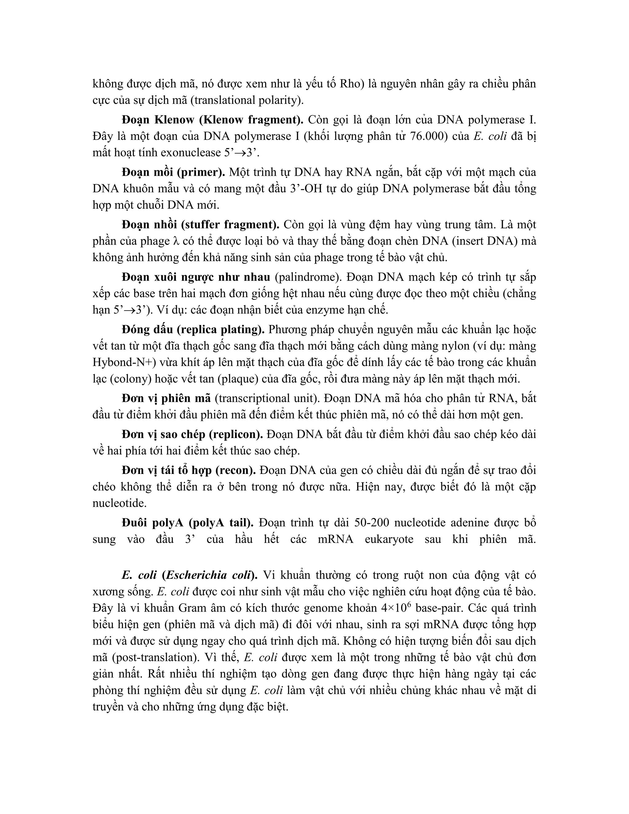 không được dịch mã, nó được xem như là yếu tố Rho) là nguyên nhân gây ra chiều phân
cực của sự dịch mã (translational polarity).
Đoa ̣n Klenow (Klenow fragment). Còn gọi là đoa ̣n lớn của DNA polymerase I.
Đây là một đoa ̣n của DNA polymerase I (khối lượng phân tử 76.000) của E. coli đã bi ̣
mất hoa ̣t tính exonuclease 5’3’.
Đoạn mồi (primer). Một trình tự DNA hay RNA ngắn, bắt cặp với một mạch của
DNA khuôn mẫu và có mang một đầu 3’-OH tự do giúp DNA polymerase bắt đầu tổng
hợp một chuỗi DNA mới.
Đoạn nhồi (stuffer fragment). Còn gọi là vùng đệm hay vùng trung tâm. Là một
phần của phage λ có thể được loại bỏ và thay thế bằng đoạn chèn DNA (insert DNA) mà
không ảnh hưởng đến khả năng sinh sản của phage trong tế bào vật chủ.
Đoa ̣n xuôi ngược như nhau (palindrome). Đoạn DNA mạch kép có trình tự sắp
xếp các base trên hai mạch đơn giống hệt nhau nếu cùng được đọc theo một chiều (chẳng
hạn 5’3’). Ví dụ: các đoạn nhận biết của enzyme hạn chế.
Đóng dấu (replica plating). Phương pháp chuyển nguyên mẫu các khuẩn lạc hoặc
vết tan từ một đĩa thạch gốc sang đĩa thạch mới bằng cách dùng màng nylon (ví dụ: màng
Hybond-N+) vừa khít áp lên mặt thạch của đĩa gốc để dính lấy các tế bào trong các khuẩn
lạc (colony) hoặc vết tan (plaque) của đĩa gốc, rồi đưa màng này áp lên mặt thạch mới.
Đơn vi ̣phiên mã (transcriptional unit). Đoa ̣n DNA mã hóa cho phân tử RNA, bắt
đầu từ điểm khởi đầu phiên mã đến điểm kết thúc phiên mã, nó có thể dài hơn một gen.
Đơn vị sao chép (replicon). Đoạn DNA bắt đầu từ điểm khởi đầu sao chép kéo dài
về hai phía tới hai điểm kết thúc sao chép.
Đơn vị tái tổ hợp (recon). Đoạn DNA của gen có chiều dài đủ ngắn để sự trao đổi
chéo không thể diễn ra ở bên trong nó được nữa. Hiện nay, được biết đó là một cặp
nucleotide.
Đuôi polyA (polyA tail). Đoạn trình tự dài 50-200 nucleotide adenine được bổ
sung vào đầu 3’ của hầu hết các mRNA eukaryote sau khi phiên mã.
E. coli (Escherichia coli). Vi khuẩn thường có trong ruột non của động vật có
xương sống. E. coli được coi như sinh vật mẫu cho việc nghiên cứu hoạt động của tế bào.
Đây là vi khuẩn Gram âm có kích thước genome khoản 4×106
base-pair. Các quá trình
biểu hiện gen (phiên mã và dịch mã) đi đôi với nhau, sinh ra sợi mRNA được tổng hợp
mới và được sử dụng ngay cho quá trình dịch mã. Không có hiện tượng biến đổi sau dịch
mã (post-translation). Vì thế, E. coli được xem là một trong những tế bào vật chủ đơn
giản nhất. Rất nhiều thí nghiệm tạo dòng gen đang được thực hiện hàng ngày tại các
phòng thí nghiệm đều sử dụng E. coli làm vật chủ với nhiều chủng khác nhau về mặt di
truyền và cho những ứng dụng đặc biệt.
 