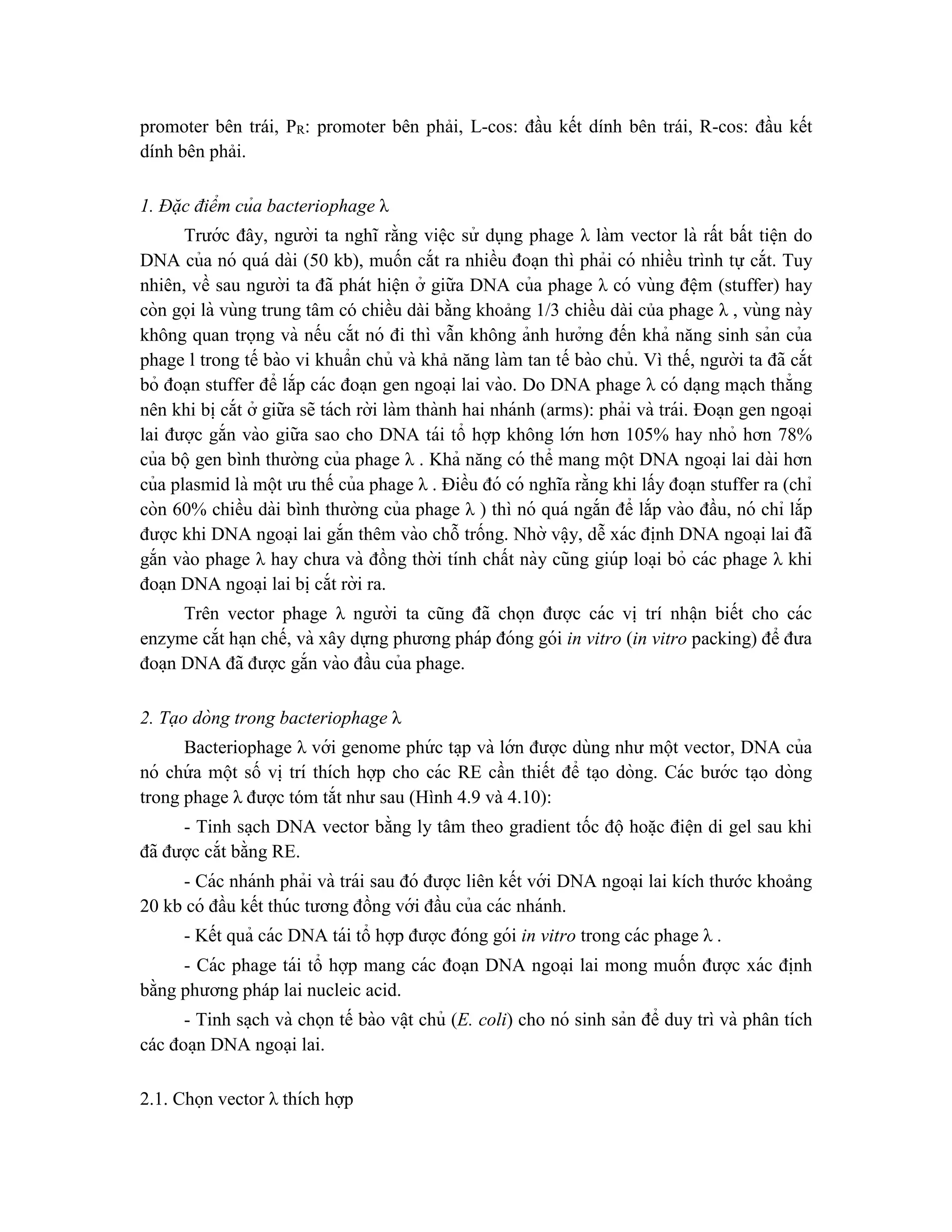 promoter bên trái, PR: promoter bên phải, L-cos: đầu kết dính bên trái, R-cos: đầu kết
dính bên phải.
1. Đặc điểm của bacteriophage λ
Trước đây, người ta nghĩ rằng viê ̣c sử dụng phage λ làm vector là rất bất tiê ̣n do
DNA của nó quá dài (50 kb), muốn cắt ra nhiều đoa ̣n thì phải có nhiều trình tự cắt. Tuy
nhiên, về sau người ta đã phát hiê ̣n ở giữa DNA của phage λ có vùng đê ̣m (stuffer) hay
còn gọi là vùng trung tâm có chiều dài bằng khoảng 1/3 chiều dài của phage λ , vùng này
không quan trọng và nếu cắt nó đi thì vẫn không ảnh hưởng đến khả năng sinh sản của
phage l trong tế bào vi khuẩn chủ và khả năng làm tan tế bào chủ. Vì thế, người ta đã cắt
bỏ đoạn stuffer để lắp các đoa ̣n gen ngoa ̣i lai vào. Do DNA phage λ có da ̣ng ma ̣ch thẳng
nên khi bi ̣cắt ở giữa sẽ tách rời làm thành hai nhánh (arms): phải và trái. Đoa ̣n gen ngoa ̣i
lai được gắn vào giữa sao cho DNA tái tổ hợp không lớn hơn 105% hay nhỏ hơn 78%
của bộgen bình thường của phage λ . Khả năng có thể mang một DNA ngoa ̣i lai dài hơn
của plasmid là một ưu thế của phage λ . Điều đó có nghĩa rằng khi lấy đoa ̣n stuffer ra (chỉ
còn 60% chiều dài bình thường của phage λ ) thì nó quá ngắn để lắp vào đầu, nó chỉ lắp
được khi DNA ngoa ̣i lai gắn thêm vào chỗ trống. Nhờ vâ ̣y, dễ xác đi ̣
nh DNA ngoa ̣i lai đã
gắn vào phage λ hay chưa và đồng thời tính chất này cũng giúp loa ̣i bỏ các phage λ khi
đoa ̣n DNA ngoa ̣i lai bi ̣cắt rời ra.
Trên vector phage λ người ta cũng đã chọn được các vị trí nhâ ̣n biết cho các
enzyme cắt ha ̣n chế, và xây dựng phương pháp đóng gói in vitro (in vitro packing) để đưa
đoa ̣n DNA đã được gắn vào đầu của phage.
2. Tạo dòng trong bacteriophage λ
Bacteriophage λ với genome phứ c ta ̣p và lớn được dùng như một vector, DNA của
nó chứ a một số vi ̣trí thích hợp cho các RE cần thiết để ta ̣o dòng. Các bước ta ̣o dòng
trong phage λ được tóm tắt như sau (Hình 4.9 và 4.10):
- Tinh sa ̣ch DNA vector bằng ly tâm theo gradient tốc độ hoă ̣c điê ̣n di gel sau khi
đã được cắt bằng RE.
- Các nhánh phải và trái sau đó được liên kết với DNA ngoa ̣i lai kích thước khoảng
20 kb có đầu kết thúc tương đồng với đầu của các nhánh.
- Kết quả các DNA tái tổ hợp được đóng gói in vitro trong các phage λ .
- Các phage tái tổ hợp mang các đoạn DNA ngoa ̣i lai mong muốn được xác đi ̣
nh
bằng phương pháp lai nucleic acid.
- Tinh sa ̣ch và chọn tế bào vâ ̣t chủ (E. coli) cho nó sinh sản để duy trì và phân tích
các đoa ̣n DNA ngoại lai.
2.1. Chọn vector λ thích hợp
 