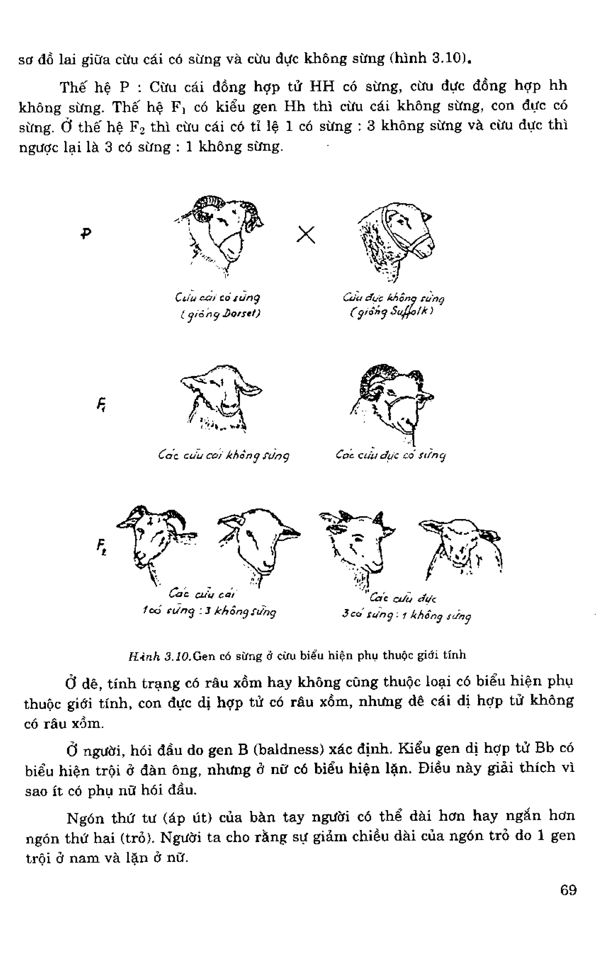 Giáo Trình di truyền học - Phạm Thành Hổ | PDF
