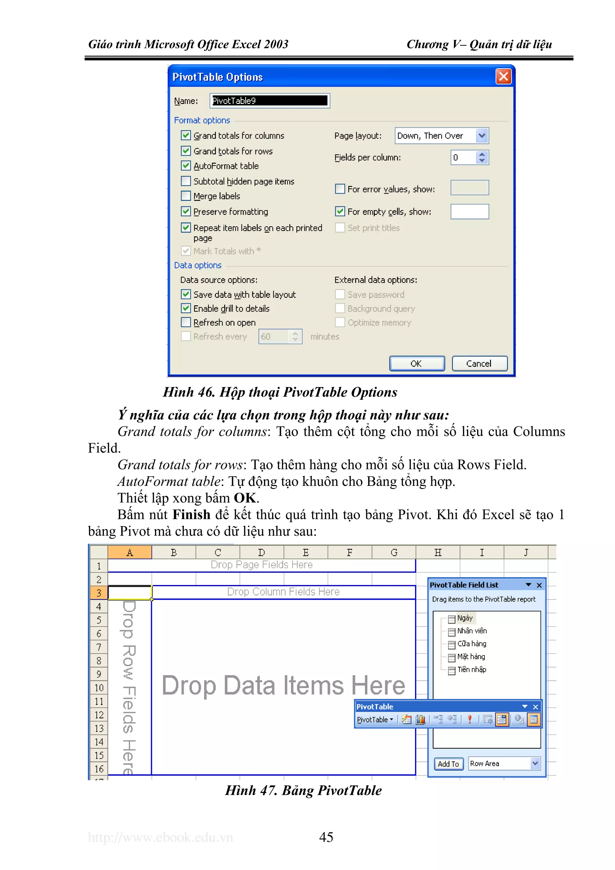 Giáo trình Microsoft Office Excel 2003 Chương V– Quản trị dữ liệu
http://www.ebook.edu.vn 45
Ý nghĩa của các lựa chọn trong hộp thoại này như sau:
Grand totals for columns: Tạo thêm cột tổng cho mỗi số liệu của Columns
Field.
Grand totals for rows: Tạo thêm hàng cho mỗi số liệu của Rows Field.
AutoFormat table: Tự động tạo khuôn cho Bảng tổng hợp.
Thiết lập xong bấm OK.
Bấm nút Finish để kết thúc quá trình tạo bảng Pivot. Khi đó Excel sẽ tạo 1
bảng Pivot mà chưa có dữ liệu như sau:
Hình 46. Hộp thoại PivotTable Options
Hình 47. Bảng PivotTable
 