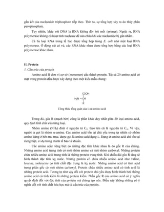 gắn kết của nucleoside triphosphate tiếp theo. Thứ ba, sự tổng hợp xảy ra do thủy phân
pyrophosphate.
Tuy nhiên, khác với DNA là RNA không đòi hỏi mồi (primer). Ngoài ra, RNA
polymerase không có hoạt tính nuclease để sửa chữa khi các nucleotide bị gắn nhầm.
Cả ba loại RNA trong tế bào được tổng hợp trong E. coli nhờ một loại RNA
polymerase. Ở động vật có vú, các RNA khác nhau được tổng hợp bằng các loại RNA
polymerase khác nhau.
II. Protein
1. Cấu trúc của protein
Amino acid là đơn vị cơ sở (monomer) cấu thành protein. Tất cả 20 amino acid có
mặt trong protein đều được xây dựng theo một kiểu mẫu chung:
Công thức tổng quát của L--amino acid
Trong đó, gốc R (mạch bên) cũng là phần khác duy nhất giữa 20 loại amino acid,
quy định tính chất của từng loại.
Nhóm amine (NH2) đính ở nguyên tử C2, theo tên cũ là nguyên tử C. Vì vậy,
người ta gọi là nhóm -amine. Các amino acid tồn tại chủ yếu trong tự nhiên có nhóm
amine đứng ở bên trái trục, được gọi là amino acid dạng L. Dạng D-amino acid chỉ tồn tại
riêng biệt, ví dụ trong thành tế bào vi khuẩn.
Các amino acid riêng biệt có những đặc tính khác nhau là do gốc R của chúng.
Những amino acid trung tính có một nhóm amine và một nhóm carboxyl. Những protein
chứa nhiều amino acid trung tính là những protein trung tính. Khi chiều dài gốc R tăng sẽ
hình thành đặc tính kỵ nước. Những protein có chứa nhiều amino acid như valine,
leucine, isoleucine có tính chất đặc trưng là kỵ nước. Những amino acid có tính acid
trong phần gốc có một nhóm carboxyl. Protein chứa nhiều amino acid có tính acid là
những protein acid. Tương tự như vậy đối với protein chủ yếu được hình thành bởi những
amino acid có tính kiềm là những protein kiềm. Phần gốc R của amino acid có ý nghĩa
quyết định đối với đặc tính của protein mà chúng tạo nên. Điều này không những có ý
nghĩa đối với tính chất hóa học mà cả cấu trúc của protein.
 