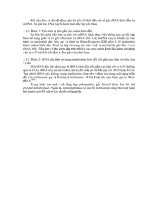 Khi tiểu đơn vị nhỏ đã được gắn ba yếu tố khởi đầu, nó sẽ gắn tRNA khởi đầu và
mRNA. Sự gắn hai RNA này là hoàn toàn độc lập với nhau.
1.1.2. Bước 1: Tiểu đơn vị nhỏ gắn vào codon khởi đầu
Sự liên kết giữa tiểu đơn vị nhỏ với mRNA được thực hiện thông qua sự bắt cặp
base bổ sung giữa vị trí gắn ribosome và rRNA 16S. Các mRNA của vi khuẩn có một
trình tự nucleotide đặc hiệu gọi là trình tự Shine-Dalgarno (SD) gồm 5-10 nucleotide
trước codon khởi đầu. Trình tự này bổ sung với một trình tự nucleotide gần đầu 3' của
rRNA 16S. Tiểu đơn vị nhỏ được đặt trên mRNA sao cho codon khởi đầu được đặt đúng
vào vị trí P một khi tiểu đơn vị lớn gắn vào phức hợp.
1.1.3. Bước 2: tRNA đầu tiên có mang methionine biến đổi đến gắn trực tiếp với tiểu đơn
vị nhỏ
Một tRNA đặc biệt được gọi là tRNA khởi đầu đến gắn trực tiếp với vị trí P (không
qua vị trí A). tRNA này có anticodon (bộ ba đối mã) có thể bắt cặp với AUG hoặc GUG.
Tuy nhiên tRNA này không mang methionine cũng như valine mà mang một dạng biến
đổi của methionine gọi là N-formyl methionine. tRNA khởi đầu này được gọi là fMet-
tRNAi
fMet
.
Trong hoặc sau quá trình tổng hợp polypeptide, gốc formyl được loại bỏ bởi
enzyme deformylase. Ngoài ra, aminopeptidase sẽ loại bỏ methionine cũng như một hoặc
hai amino acid kế tiếp ở đầu chuỗi polypeptide.
 