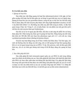 II. Các kiểu sửa chữa
1. Quang tái hoạt hóa
Sửa chữa trực tiếp bằng quang tái hoạt hóa (photoreactivation) ít khi gặp, nó bao
gồm sự phục hồi hoặc loại bỏ đơn giản các sai hỏng và quá trình này xảy ra ở ngoài sáng.
Quang tái hoạt hóa của các pyrimidine dimers, trong đó tạo cơ hội cho các liên kết cộng
hóa trị được phục hồi nhờ enzyme phụ thuộc ánh sáng (light-dependent enzyme), là một
ví dụ điển hình (Hình 7.2). Hệ thống sửa chữa này phổ biến trong tự nhiên, và đặc biệt
quan trọng ở thực vật. Trong E. coli, nó phụ thuộc vào sản phẩm của một gen đơn (phr)
mã hóa cho một enzyme được gọi là photolyase.
Sau khi xử lý tia tử ngoại gây đột biến, nếu đưa ra ánh sáng thì phần lớn sai hỏng
được phục hồi. Hiện tượng này được gọi là quang tái hoạt hóa. Năng lượng của ánh sáng
khả kiến (từ 300 đến 600 nm) hoạt hóa photolyase (gen phr ở E. coli) cắt các vòng
cyclobutyl pyrimidine dimer (thường là thymine dimer).
Enzyme này hoạt động trong các tế bào ở nhiều loài khác nhau. Vào ban ngày, các
sinh vật thường chịu tác động của ánh sáng, nên cơ chế quang tái hoạt hóa (quang phục
hồi) có vai trò quan trọng trong sửa sai DNA. Ví dụ: Mycoplasma, sinh vật đơn giản nhất
hiện nay, chỉ có vài trăm gen nhưng một trong số đó đã được dùng cho quang tái hoạt
hóa.
2. Sửa chữa ghép đôi lệch
Sửa chữa ghép đôi lệch (mismatch-repair) giữa các sợi DNA là một trong những
mục tiêu chính của hệ thống sửa sai. Sửa chữa ghép đôi lệch được tiến hành khi phát hiện
trên DNA các base nằm cạnh nhau mà không bắt cặp thích hợp. Các ghép đôi lệch tăng
lên trong suốt quá trình tái bản được sửa chữa bằng cách phân biệt giữa các sợi cũ và mới
và được ưu tiên sửa chữa trình tự của các sợi được tổng hợp mới (Hình 7.3). Ghép đôi
lệch được tạo ra bởi các biến đổi base, là một kết quả của sự khử amine (deamination).
 