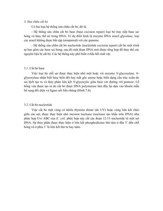 3. Sửa chữa cắt bỏ
Có hai loại hệ thống sửa chữa cắt bỏ, đó là:
- Hệ thống sửa chữa cắt bỏ base (base excision repair) loại bỏ trực tiếp base sai
hỏng và thay thế nó trong DNA. Ví dụ điển hình là enzyme DNA uracil glycolase, loại
các uracil không được bắt cặp (mispaired) với các guanine.
- Hệ thống sửa chữa cắt bỏ nucleotide (nucleotide excision repair) cắt bỏ một trình
tự bao gồm các base sai hỏng; sau đó một đoạn DNA mới được tổng hợp để thay thế các
nguyên liệu bị cắt bỏ. Các hệ thống này phổ biến ở hầu hết sinh vật.
3.1. Cắt bỏ base
Việc loại bỏ chỗ sai được thực hiện nhờ một hoặc vài enzyme N-glycosylase. N-
glycosylase nhận biết base biến đổi hay mất gốc amine hoặc biến dạng cấu trúc xoắn do
sai lệch tạo ra và thủy phân liên kết N-glycosylic giữa base với đường với pentose. Lỗ
hổng vừa được tạo ra do cắt bỏ được DNA polymerase làm đầy lại dựa vào khuôn mẫu
bổ sung đối diện và ligase nối liền chúng (Hình 7.4).
3.2. Cắt bỏ nucleotide
Việc cắt bỏ một vùng có nhiều thymine dimer (do UV) hoặc vùng liên kết chéo
giữa các sợi, được thực hiện nhờ incision nuclease (nuclease tạo khấc trên DNA) như
phức hợp Uvr ABC của E. coli, phức hợp này cắt các đoạn 12-13 nucleotide từ một sợi
DNA. Sự thủy phân được thực hiện ở liên kết phosphodiester thứ tám ở đầu 5’ đến chỗ
hỏng và ở phía 3’ là liên kết thứ tư hay năm.
 