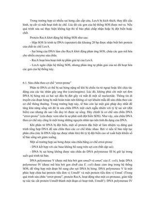Trong trường hợp có nhiều sai hỏng cần cấp cứu, LexA bị kích thích, thay đổi cấu
hình, tự cắt và mất hoạt tính ức chế. Lúc đó các gen của hệ thống SOS được mở ra. Nếu
quá trình sửa sai thực hiện không kịp thì tế bào phải chấp nhận hoặc bị đột biến hoặc
chết.
Protein RecA khởi động hệ thống SOS như sau:
- Hộp SOS là trình tự DNA (operator) dài khoảng 20 bp được nhận biết bởi protein
của chất ức chế LexA.
- Sai hỏng của DNA làm cho RecA khởi động phản ứng SOS, chứa các gen mã hóa
cho nhiều enzyme sửa chữa.
- RecA hoạt hóa hoạt tính tự phân giải tự của LexA.
- LexA ngăn chặn hệ thống SOS, nhưng phản ứng tự phân giải của nó đã hoạt hóa
các gen của hệ thống này.
6.1. Sửa chữa theo cơ chế “error-prone”
Phân tử DNA có thể bị sai hỏng nặng nề khi bị chiếu tia tử ngoại hoặc khi chịu tác
động của các tác nhân gây ung thư (carcinogens). Lúc đó, không phải chỉ một sợi đơn
DNA bị hỏng mà cả hai sợi đều bị đứt gãy và mất đi một số nucleotide. Thông tin di
truyền của đoạn hỏng bị mất hoàn toàn nên không có sợi khuôn mẫu để sửa chữa theo các
cơ chế thông thường. Trong trường hợp này, tế bào còn lại một giải pháp duy nhất để
tăng khả năng sống sót đó là sửa chữa DNA một cách ngẫu nhiên với tỷ lệ sai sót (đột
biến) cao nhưng dù sao vẫn duy trì được sự sống. Đây chính là cơ chế sửa chữa DNA
“error-prone” (còn được xem như là sự phát sinh đột biến SOS). Như vậy, sửa chữa DNA
theo cơ chế này cũng là một trong những nguyên nhân tạo nên tính đa dạng của DNA.
Khi phân tử DNA bị đột biến, một số protein đặc biệt sẽ làm nhiệm vụ dừng quá
trình tổng hợp DNA để sửa chữa theo các cơ chế khác nhau. Bởi vì nếu tế bào tiếp tục
phân chia (tức là DNA tiếp tục được nhân lên) thì tỷ lệ đột biến cao sẽ xuất hiện khiến số
tế bào sống sót giảm xuống.
Một số trường hợp sai hỏng được sửa chữa bằng cơ chế error-prone:
- DNA kết hợp với các base không bổ sung trên sợi con (bắt cặp sai).
- DNA bị sai hỏng không được sửa chữa do DNA polymerase III bị giữ lại trong
suốt quá trình tái bản.
DNA polymerase V (được mã hóa bởi gen umuD và umuC của E. coli), hoặc DNA
polymerase IV (được mã hóa bởi gen dinB của E. coli) được cảm ứng trong hệ thống
SOS, để tổng hợp một đoạn bổ sung cho sợi DNA bị hỏng. DNA polymerase V là một
phức hợp chứa hai protein tiểu đơn vị UmuD’ và một protein tiểu đơn vị UmuC (Trong
quá trình sửa chữa “error-prone”, protein RecA, hoạt động như một co-protease, gián tiếp
tự xúc tác cắt protein UmuD thành một đoạn có hoạt tính, UmuD’). DNA polymerase IV
 