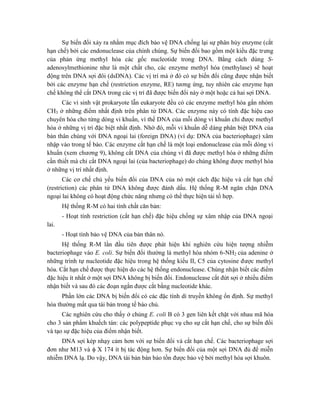 Sự biến đổi xảy ra nhằm mục đích bảo vệ DNA chống lại sự phân hủy enzyme (cắt
hạn chế) bởi các endonuclease của chính chúng. Sự biến đổi bao gồm một kiểu đặc trưng
của phản ứng methyl hóa các gốc nucleotide trong DNA. Bằng cách dùng S-
adenosylmethionine như là một chất cho, các enzyme methyl hóa (methylase) sẽ hoạt
động trên DNA sợi đôi (dsDNA). Các vị trí mà ở đó có sự biến đổi cũng được nhận biết
bởi các enzyme hạn chế (restriction enzyme, RE) tương ứng, tuy nhiên các enzyme hạn
chế không thể cắt DNA trong các vị trí đã được biến đổi này ở một hoặc cả hai sợi DNA.
Các vi sinh vật prokaryote lẫn eukaryote đều có các enzyme methyl hóa gắn nhóm
CH3 ở những điểm nhất định trên phân tử DNA. Các enzyme này có tính đặc hiệu cao
chuyên hóa cho từng dòng vi khuẩn, vì thế DNA của mỗi dòng vi khuẩn chỉ được methyl
hóa ở những vị trí đặc biệt nhất định. Nhờ đó, mỗi vi khuẩn dễ dàng phân biệt DNA của
bản thân chúng với DNA ngoại lai (foreign DNA) (ví dụ: DNA của bacteriophage) xâm
nhập vào trong tế bào. Các enzyme cắt hạn chế là một loại endonuclease của mỗi dòng vi
khuẩn (xem chương 9), không cắt DNA của chúng vì đã được methyl hóa ở những điểm
cần thiết mà chỉ cắt DNA ngoại lai (của bacteriophage) do chúng không được methyl hóa
ở những vị trí nhất định.
Các cơ chế chủ yếu biến đổi của DNA của nó một cách đặc hiệu và cắt hạn chế
(restriction) các phân tử DNA không được đánh dấu. Hệ thống R-M ngăn chặn DNA
ngoại lai không có hoạt động chức năng nhưng có thể thực hiện tái tổ hợp.
Hệ thống R-M có hai tính chất căn bản:
- Hoạt tính restriction (cắt hạn chế) đặc hiệu chống sự xâm nhập của DNA ngoại
lai.
- Hoạt tính bảo vệ DNA của bản thân nó.
Hệ thống R-M lần đầu tiên được phát hiện khi nghiên cứu hiện tượng nhiễm
bacteriophage vào E. coli. Sự biến đổi thường là methyl hóa nhóm 6-NH2 của adenine ở
những trình tự nucleotide đặc hiệu trong hệ thống kiểu II, C5 của cytosine được methyl
hóa. Cắt hạn chế được thực hiện do các hệ thống endonuclease. Chúng nhận biết các điểm
đặc hiệu ít nhất ở một sợi DNA không bị biến đổi. Endonuclease cắt đứt sợi ở nhiều điểm
nhận biết và sau đó các đoạn ngắn được cắt bằng nucleotide khác.
Phần lớn các DNA bị biến đổi có các đặc tính di truyền không ổn định. Sự methyl
hóa thường mất qua tái bản trong tế bào chủ.
Các nghiên cứu cho thấy ở chủng E. coli B có 3 gen liên kết chặt với nhau mã hóa
cho 3 sản phẩm khuếch tán: các polypeptide phục vụ cho sự cắt hạn chế, cho sự biến đổi
và tạo sự đặc hiệu của điểm nhận biết.
DNA sợi kép nhạy cảm hơn với sự biến đổi và cắt hạn chế. Các bacteriophage sợi
đơn như M13 và  X 174 ít bị tác động hơn. Sự biến đổi của một sợi DNA đủ để miễn
nhiễm DNA lạ. Do vậy, DNA tái bản bán bảo tồn được bảo vệ bởi methyl hóa sợi khuôn.
 