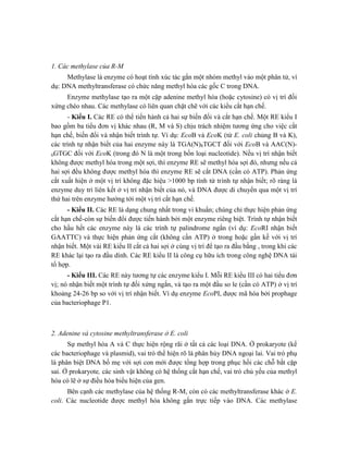 1. Các methylase của R-M
Methylase là enzyme có hoạt tính xúc tác gắn một nhóm methyl vào một phân tử, ví
dụ: DNA methyltransferase có chức năng methyl hóa các gốc C trong DNA.
Enzyme methylase tạo ra một cặp adenine methyl hóa (hoặc cytosine) có vị trí đối
xứng chéo nhau. Các methylase có liên quan chặt chẽ với các kiểu cắt hạn chế.
- Kiểu I. Các RE có thể tiến hành cả hai sự biến đổi và cắt hạn chế. Một RE kiểu I
bao gồm ba tiểu đơn vị khác nhau (R, M và S) chịu trách nhiệm tương ứng cho việc cắt
hạn chế, biến đổi và nhận biết trình tự. Ví dụ: EcoB và EcoK (từ E. coli chủng B và K),
các trình tự nhận biết của hai enzyme này là TGA(N)8TGCT đối với EcoB và AAC(N)-
6GTGC đối với EcoK (trong đó N là một trong bốn loại nucleotide). Nếu vị trí nhận biết
không được methyl hóa trong một sợi, thì enzyme RE sẽ methyl hóa sợi đó, nhưng nếu cả
hai sợi đều không được methyl hóa thì enzyme RE sẽ cắt DNA (cần có ATP). Phản ứng
cắt xuất hiện ở một vị trí không đặc hiệu >1000 bp tính từ trình tự nhận biết; rõ ràng là
enzyme duy trì liên kết ở vị trí nhận biết của nó, và DNA được di chuyển qua một vị trí
thứ hai trên enzyme hướng tới một vị trí cắt hạn chế.
- Kiểu II. Các RE là dạng chung nhất trong vi khuẩn; chúng chỉ thực hiện phản ứng
cắt hạn chế-còn sự biến đổi được tiến hành bởi một enzyme riêng biệt. Trình tự nhận biết
cho hầu hết các enzyme này là các trình tự palindrome ngắn (ví dụ: EcoRI nhận biết
GAATTC) và thực hiện phản ứng cắt (không cần ATP) ở trong hoặc gần kề với vị trí
nhận biết. Một vài RE kiểu II cắt cả hai sợi ở cùng vị trí để tạo ra đầu bằng , trong khi các
RE khác lại tạo ra đầu dính. Các RE kiểu II là công cụ hữu ích trong công nghệ DNA tái
tổ hợp.
- Kiểu III. Các RE này tương tự các enzyme kiểu I. Mỗi RE kiểu III có hai tiểu đơn
vị; nó nhận biết một trình tự đối xứng ngắn, và tạo ra một đầu so le (cần có ATP) ở vị trí
khoảng 24-26 bp so với vị trí nhận biết. Ví dụ enzyme EcoPI, được mã hóa bởi prophage
của bacteriophage P1.
2. Adenine và cytosine methyltransferase ở E. coli
Sự methyl hóa A và C thực hiện rộng rãi ở tất cả các loại DNA. Ở prokaryote (kể
các bacteriophage và plasmid), vai trò thể hiện rõ là phân hủy DNA ngoại lai. Vai trò phụ
là phân biệt DNA bố mẹ với sợi con mới được tổng hợp trong phục hồi các chỗ bắt cặp
sai. Ở prokaryote, các sinh vật không có hệ thống cắt hạn chế, vai trò chủ yếu của methyl
hóa có lẽ ở sự điều hòa biểu hiện của gen.
Bên cạnh các methylase của hệ thống R-M, còn có các methyltransferase khác ở E.
coli. Các nucleotide được methyl hóa không gắn trực tiếp vào DNA. Các methylase
 
