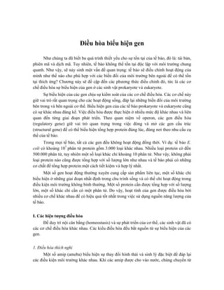 Điều hòa biểu hiện gen
Như chúng ta đã biết ba quá trình thiết yếu cho sự tồn tại của tế bào, đó là: tái bản,
phiên mã và dịch mã. Tuy nhiên, tế bào không thể tồn tại độc lập với môi trường chung
quanh. Như vậy, sẽ nảy sinh một vấn đề quan trọng: tế bào sẽ điều chỉnh hoạt động của
mình như thế nào cho phù hợp với các biến đổi của môi trường bên ngoài để có thể tồn
tại thích ứng? Chương này sẽ đề cập đến các phương thức điều chỉnh đó, tức là các cơ
chế điều hòa sự biểu hiện của gen ở các sinh vật prokaryote và eukaryote.
Sự biểu hiện của các gen chịu sự kiểm soát của các cơ chế điều hòa. Các cơ chế này
giữ vai trò rất quan trọng cho các hoạt động sống, đáp lại những biến đổi của môi trường
bên trong và bên ngoài cơ thể. Biểu hiện gen của các tế bào prokaryote và eukaryote cũng
có sự khác nhau đáng kể. Việc điều hòa được thực hiện ở nhiều mức độ khác nhau và liên
quan đến từng giai đoạn phát triển. Theo quan niệm về operon, các gen điều hòa
(regulatory gene) giữ vai trò quan trọng trong việc đóng và mở các gen cấu trúc
(structural gene) để có thể biểu hiện tổng hợp protein đúng lúc, đúng nơi theo nhu cầu cụ
thể của tế bào.
Trong mọi tế bào, tất cả các gen đều không hoạt động đồng thời. Ví dụ: tế bào E.
coli có khoảng 107
phân tử protein gồm 3.000 loại khác nhau. Nhiều loại protein có đến
500.000 phân tử, tuy nhiên một số loại khác chỉ khoảng 10 phân tử. Như vậy, không phải
loại protein nào cũng được tổng hợp với số lượng lớn như nhau và tế bào phải có những
cơ chất để tổng hợp protein một cách tiết kiệm và hợp lý nhất.
Một số gen hoạt động thường xuyên cung cấp sản phẩm liên tục, một số khác chỉ
biểu hiện ở những giai đoạn nhất định trong chu trình sống và có thể chỉ hoạt động trong
điều kiện môi trường không bình thường. Một số protein cần được tổng hợp với số lượng
lớn, một số khác chỉ cần có một phân tử. Do vậy, hoạt tính của gen được điều hòa bởi
nhiều cơ chế khác nhau để có hiệu quả tốt nhất trong việc sử dụng nguồn năng lượng của
tế bào.
I. Các hiện tượng điều hòa
Để duy trì nội cân bằng (homeostasis) và sự phát triển của cơ thể, các sinh vật đã có
các cơ chế điều hòa khác nhau. Các kiểu điều hòa đều bắt nguồn từ sự biểu hiện của các
gen.
1. Điều hòa thích nghi
Một số amip (ameba) biểu hiện sự thay đổi hình thái và sinh lý đặc biệt để đáp lại
các điều kiện môi trường khác nhau. Khi các amip được cho vào nước, chúng chuyển từ
 