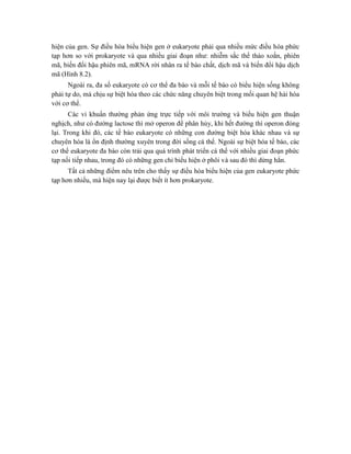 hiện của gen. Sự điều hòa biểu hiện gen ở eukaryote phải qua nhiều mức điều hòa phức
tạp hơn so với prokaryote và qua nhiều giai đoạn như: nhiễm sắc thể tháo xoắn, phiên
mã, biến đổi hậu phiên mã, mRNA rời nhân ra tế bào chất, dịch mã và biến đổi hậu dịch
mã (Hình 8.2).
Ngoài ra, đa số eukaryote có cơ thể đa bào và mỗi tế bào có biểu hiện sống không
phải tự do, mà chịu sự biệt hóa theo các chức năng chuyên biệt trong mối quan hệ hài hòa
với cơ thể.
Các vi khuẩn thường phản ứng trực tiếp với môi trường và biểu hiện gen thuận
nghịch, như có đường lactose thì mở operon để phân hủy, khi hết đường thì operon đóng
lại. Trong khi đó, các tế bào eukaryote có những con đường biệt hóa khác nhau và sự
chuyên hóa là ổn định thường xuyên trong đời sống cá thể. Ngoài sự biệt hóa tế bào, các
cơ thể eukaryote đa bào còn trải qua quá trình phát triển cá thể với nhiều giai đoạn phức
tạp nối tiếp nhau, trong đó có những gen chỉ biểu hiện ở phôi và sau đó thì dừng hẳn.
Tất cả những điểm nêu trên cho thấy sự điều hòa biểu hiện của gen eukaryote phức
tạp hơn nhiều, mà hiện nay lại được biết ít hơn prokaryote.
 