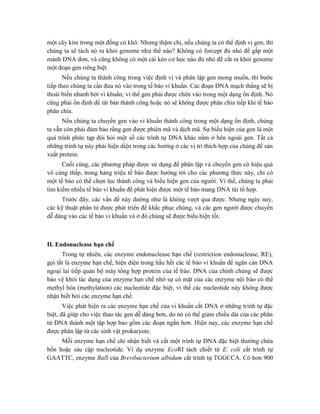 một cây kim trong một đống cỏ khô. Nhưng thậm chí, nếu chúng ta có thể định vị gen, thì
chúng ta sẽ tách nó ra khỏi genome như thế nào? Không có forcept đủ nhỏ để gắp một
mảnh DNA đơn, và cũng không có một cái kéo cơ học nào đủ nhỏ để cắt ra khỏi genome
một đoạn gen riêng biệt.
Nếu chúng ta thành công trong việc định vị và phân lập gen mong muốn, thì bước
tiếp theo chúng ta cần đưa nó vào trong tế bào vi khuẩn. Các đoạn DNA mạch thẳng sẽ bị
thoái biến nhanh bởi vi khuẩn; vì thế gen phải được chèn vào trong một dạng ổn định. Nó
cũng phải ổn định để tái bản thành công hoặc nó sẽ không được phân chia tiếp khi tế bào
phân chia.
Nếu chúng ta chuyển gen vào vi khuẩn thành công trong một dạng ổn định, chúng
ta vẫn còn phải đảm bảo rằng gen được phiên mã và dịch mã. Sự biểu hiện của gen là một
quá trình phức tạp đòi hỏi một số các trình tự DNA khác nằm ở bên ngoài gen. Tất cả
những trình tự này phải hiện diện trong các hướng ở các vị trí thích hợp của chúng để sản
xuất protein.
Cuối cùng, các phương pháp được sử dụng để phân lập và chuyển gen có hiệu quả
vô cùng thấp, trong hàng triệu tế bào được hướng tới cho các phương thức này, chỉ có
một tế bào có thể chọn lọc thành công và biểu hiện gen của người. Vì thế, chúng ta phải
tìm kiếm nhiều tế bào vi khuẩn để phát hiện được một tế bào mang DNA tái tổ hợp.
Trước đây, các vấn đề này dường như là không vượt qua được. Nhưng ngày nay,
các kỹ thuật phân tử được phát triển để khắc phục chúng, và các gen người được chuyển
dễ dàng vào các tế bào vi khuẩn và ở đó chúng sẽ được biểu hiện tốt.
II. Endonuclease hạn chế
Trong tự nhiên, các enzyme endonuclease hạn chế (restriction endonuclease, RE),
gọi tắt là enzyme hạn chế, hiện diện trong hầu hết các tế bào vi khuẩn để ngăn cản DNA
ngoại lai tiếp quản bộ máy tổng hợp protein của tế bào. DNA của chính chúng sẽ được
bảo vệ khỏi tác dụng của enzyme hạn chế nhờ sự có mặt của các enzyme nội bào có thể
methyl hóa (methylation) các nucleotide đặc biệt, vì thế các nucleotide này không được
nhận biết bởi các enzyme hạn chế.
Việc phát hiện ra các enzyme hạn chế của vi khuẩn cắt DNA ở những trình tự đặc
biệt, đã giúp cho việc thao tác gen dễ dàng hơn, do nó có thể giảm chiều dài của các phân
tử DNA thành một tập hợp bao gồm các đoạn ngắn hơn. Hiện nay, các enzyme hạn chế
được phân lập từ các sinh vật prokaryote.
Mỗi enzyme hạn chế chỉ nhận biết và cắt một trình tự DNA đặc biệt thường chứa
bốn hoặc sáu cặp nucleotide. Ví dụ enzyme EcoRI tách chiết từ E. coli cắt trình tự
GAATTC, enzyme BalI của Brevibacterium albidum cắt trình tự TGGCCA. Có hơn 900
 