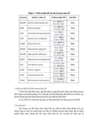 Bảng 9.1. Trình tự nhận biết của một số enzyme hạn chế
1. Gắn các đầu bị cắt bởi enzyme hạn chế
Có hai kiểu gắn khác nhau: gắn đầu bằng và gắn đầu dính, bằng cách dùng enzyme
DNA ligase của bacteriophage T4 có thể gắn các đầu bằng hoặc đầu dính lại với nhau, tuy
nhiên trường hợp đầu bằng thường cho hiệu quả thấp hơn đầu dính.
Ví dụ: Hình 9.2 minh họa việc gắn các đầu dính được cắt bằng enzyme HindIII.
2. Isochizomer
Nói chung, các RE khác nhau nhận biết các trình tự khác nhau (Bảng 9.1), tuy
nhiên cũng có một số trường hợp cho thấy có những enzyme được phân lập từ nhiều
nguồn khác nhau nhưng lại cắt trong một trình tự, các enzyme đó được gọi là
 