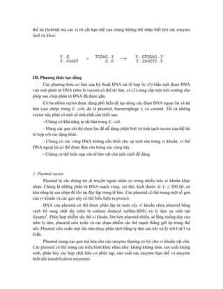 thể lai (hybrid) mà các vị trí cắt hạn chế của chúng không thể nhận biết bởi các enzyme
SalI và XhoI:
III. Phương thức tạo dòng
Các phương thức cơ bản của kỹ thuật DNA tái tổ hợp là: (1) Gắn một đoạn DNA
vào một phân tử DNA (như là vector) có thể tái bản, và (2) cung cấp một môi trường cho
phép sao chép phân tử DNA đã được gắn.
Có ba nhóm vector được dùng phổ biến để tạo dòng các đoạn DNA ngoại lai và tái
bản (sao chép) trong E. coli; đó là plasmid, bacteriophage  và cosmid. Tất cả những
vector này phải có một số tính chất cần thiết sau:
- Chúng có khả năng tự tái bản trong E. coli.
- Mang các gen chỉ thị chọn lọc để dễ dàng phân biệt và tinh sạch vector của thể tái
tổ hợp với các dạng khác.
- Chúng có các vùng DNA không cần thiết cho sự sinh sản trong vi khuẩn, vì thế
DNA ngoại lai có thể được đưa vào trong các vùng này.
- Chúng có thể biến nạp vào tế bào vật chủ một cách dễ dàng.
1. Plasmid vector
Plasmid là các thông tin di truyền ngoài nhân có trong nhiều loài vi khuẩn khác
nhau. Chúng là những phân tử DNA mạch vòng, sợi đôi, kích thước từ 1-  200 kb, có
khả năng tự sao chép để tồn tại độc lập trong tế bào. Các plasmid có thể mang một số gen
của vi khuẩn và các gen này có thể biểu hiện ra protein.
DNA của plasmid có thể được phân lập từ nuôi cấy vi khuẩn chứa plasmid bằng
cách bổ sung chất tẩy (như là sodium dodecyl sulfate-SDS) và ly tâm sự sinh tan
(lysate)1
. Phức hợp nhiễm sắc thể vi khuẩn, lớn hơn plasmid nhiều, sẽ lắng xuống đáy của
tube ly tâm, plasmid siêu xoắn và các đoạn nhiễm sắc thể mạch thẳng giữ lại trong thể
nổi. Plasmid siêu xoắn một lần nữa được phân tách bằng ly tâm sau khi xử lý với CsCl và
EtBr.
Plasmid mang các gen mã hóa cho các enzyme thường có lợi cho vi khuẩn vật chủ.
Các plasmid có thể mang các kiểu hình khác nhau như: kháng kháng sinh, sản xuất kháng
sinh, phân hủy các hợp chất hữu cơ phức tạp, sản xuất các enzyme hạn chế và enzyme
biến đổi (modification enzymes).
 
